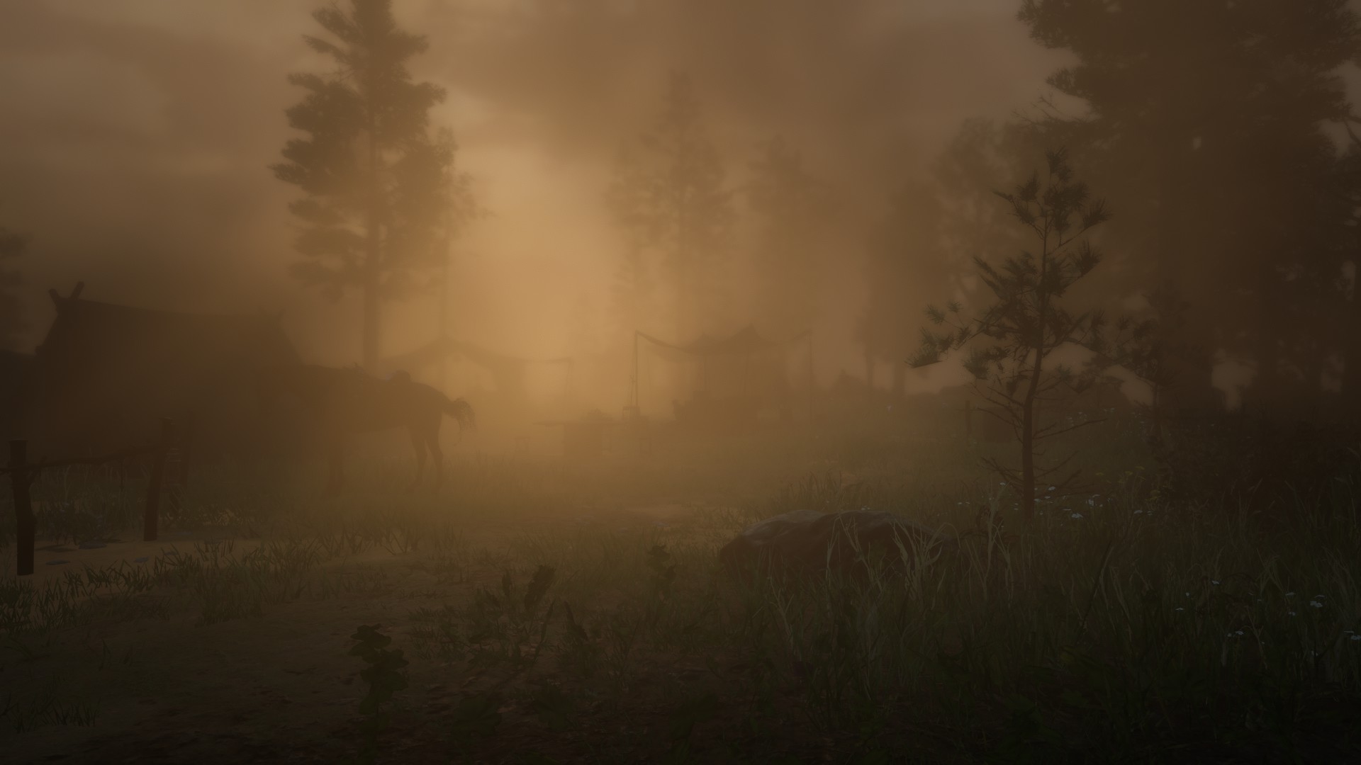 General 1920x1080 Red Dead Redemption 2 video games Rockstar Games nature mist morning trees daylight USA grass