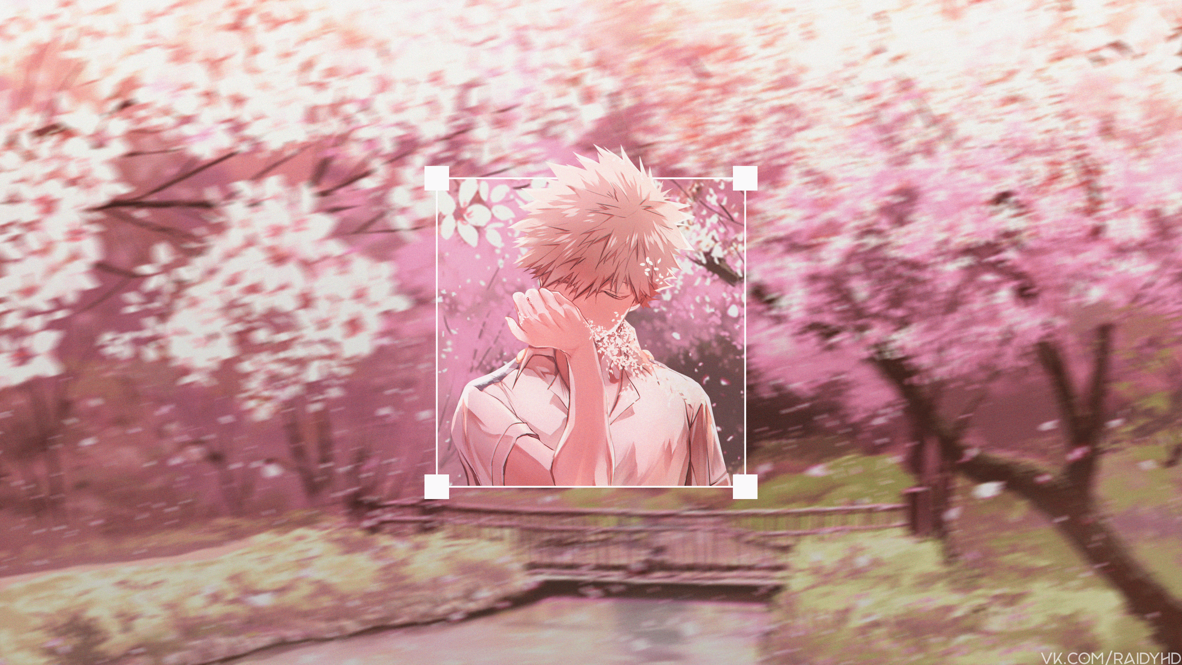 Anime 3840x2160 anime boys anime picture-in-picture Boku no Hero Academia trees plants cherry blossom Katsuki Bakugou closed eyes