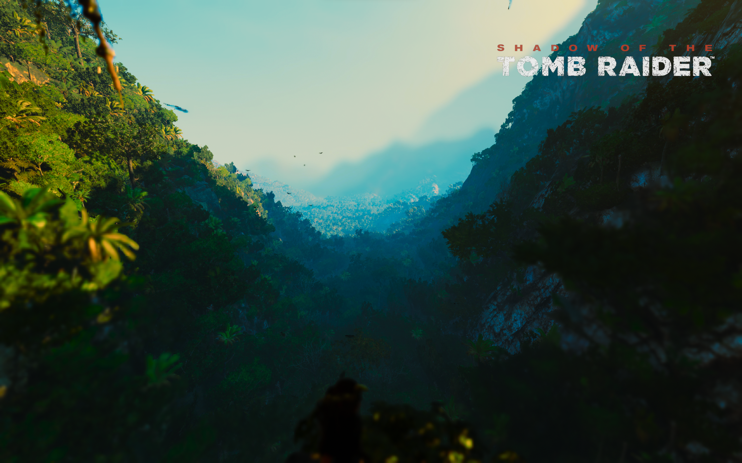 General 2560x1600 Tomb Raider 505 Games video games logo digital art forest nature