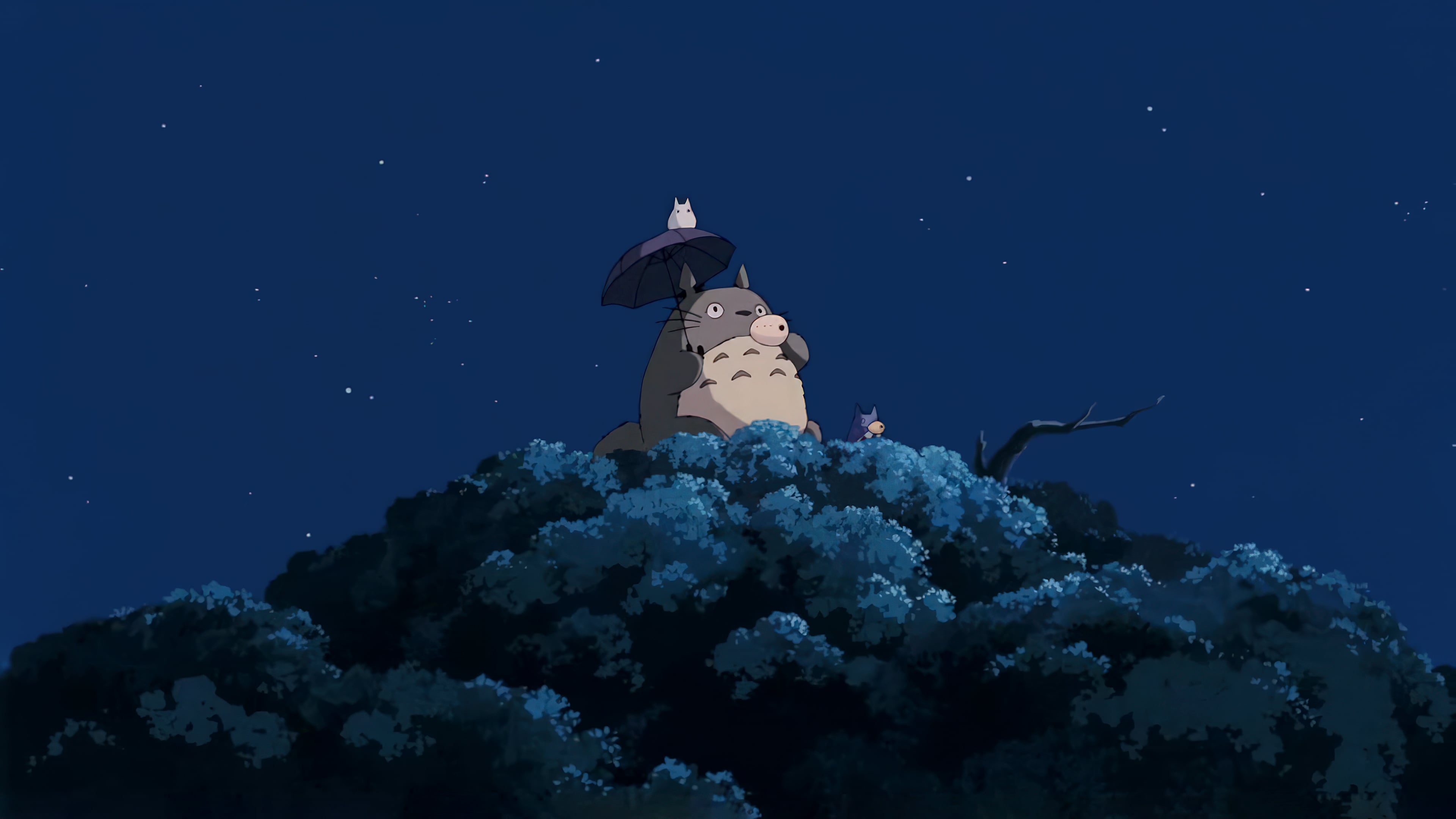 Anime 3840x2160 Studio Ghibli anime Anime screenshot creature stars starry night sky