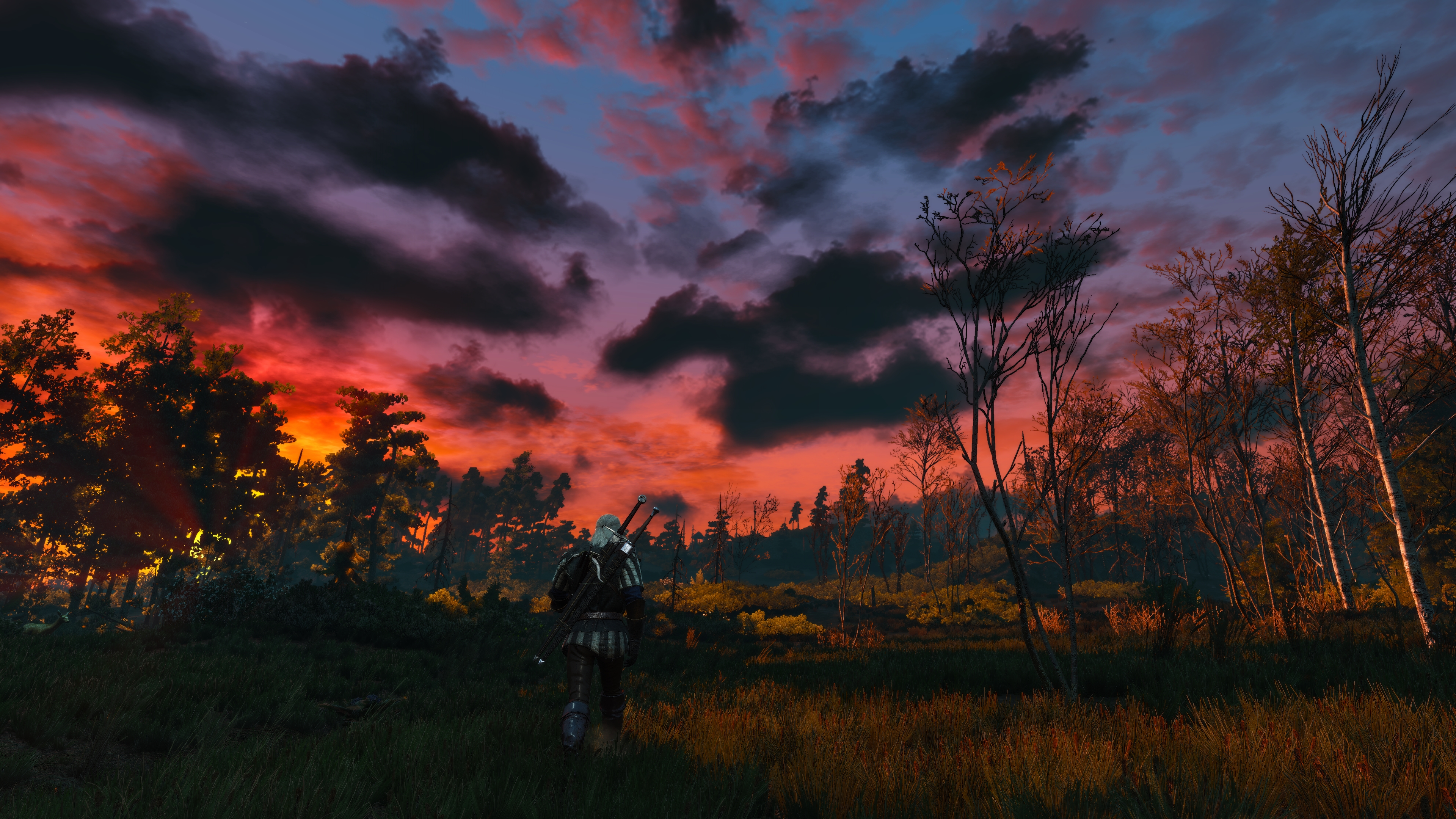 General 3840x2160 The Witcher 3: Wild Hunt screen shot video games