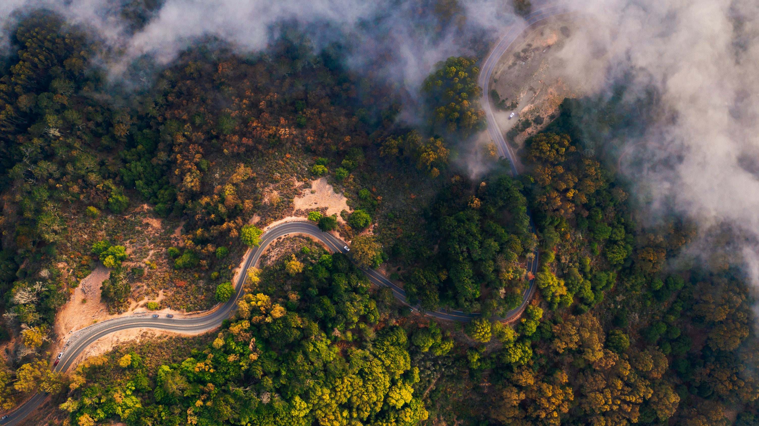 General 3008x1690 nature trees forest plants road asphalt car hairpin turns mist drone photo aerial view fog California USA Meriç Dağlı