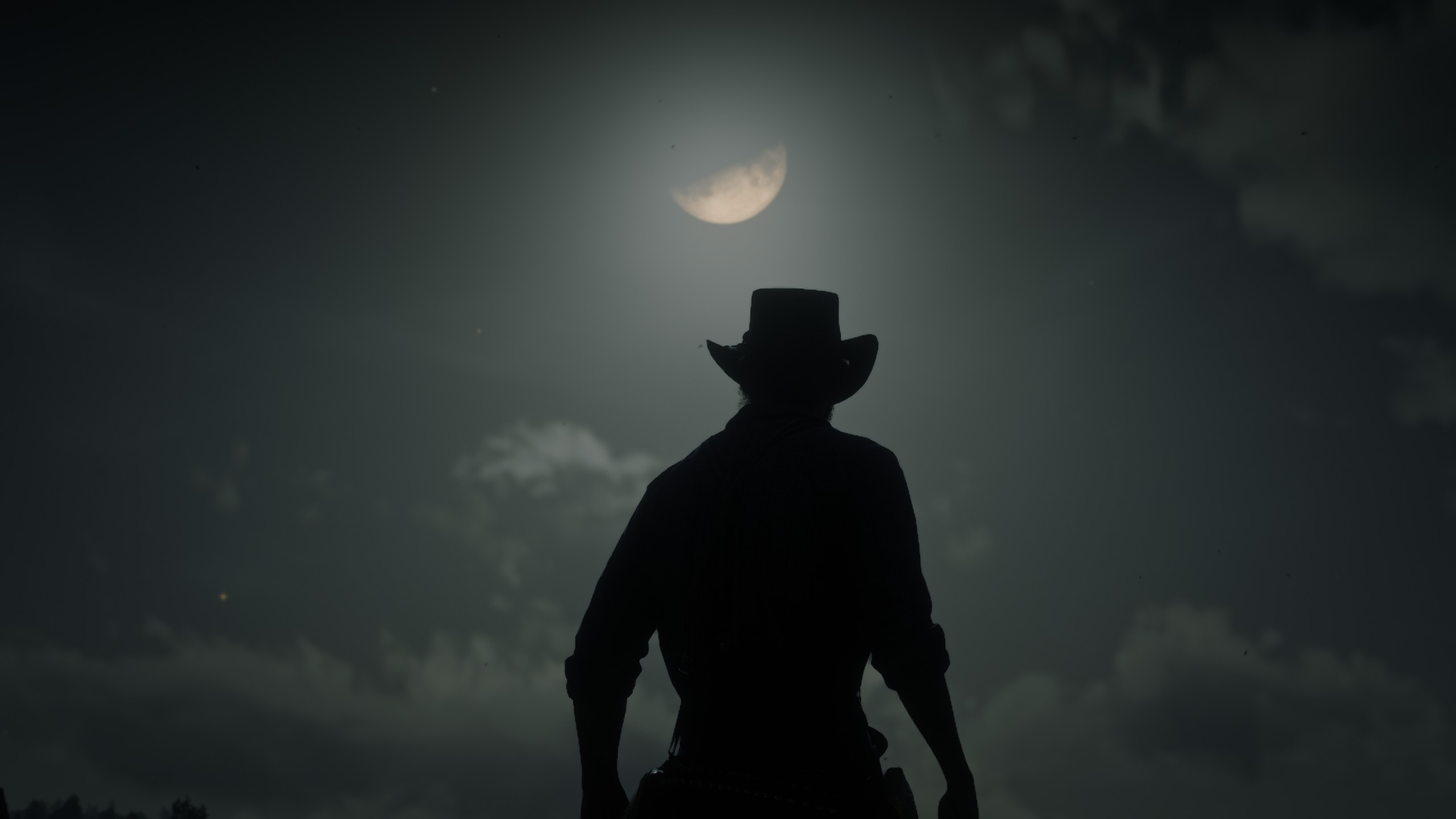 General 2560x1440 Red Dead Redemption 2 Rockstar Games cowboy Arthur Morgan digital art Red Dead Redemption sky video games moonlight cowboy hats standing video game art screen shot video game men night video game characters CGI Moon clouds hat silhouette