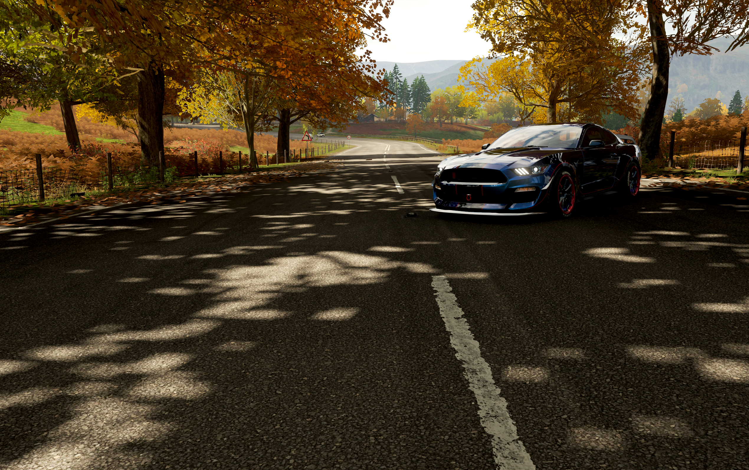 General 2539x1595 horizon line art clear sky headlights car frontal view vehicle dappled sunlight sunlight trees road Ford Ford Mustang Ford Mustang Shelby muscle cars American cars Forza Horizon 4 video games PlaygroundGames