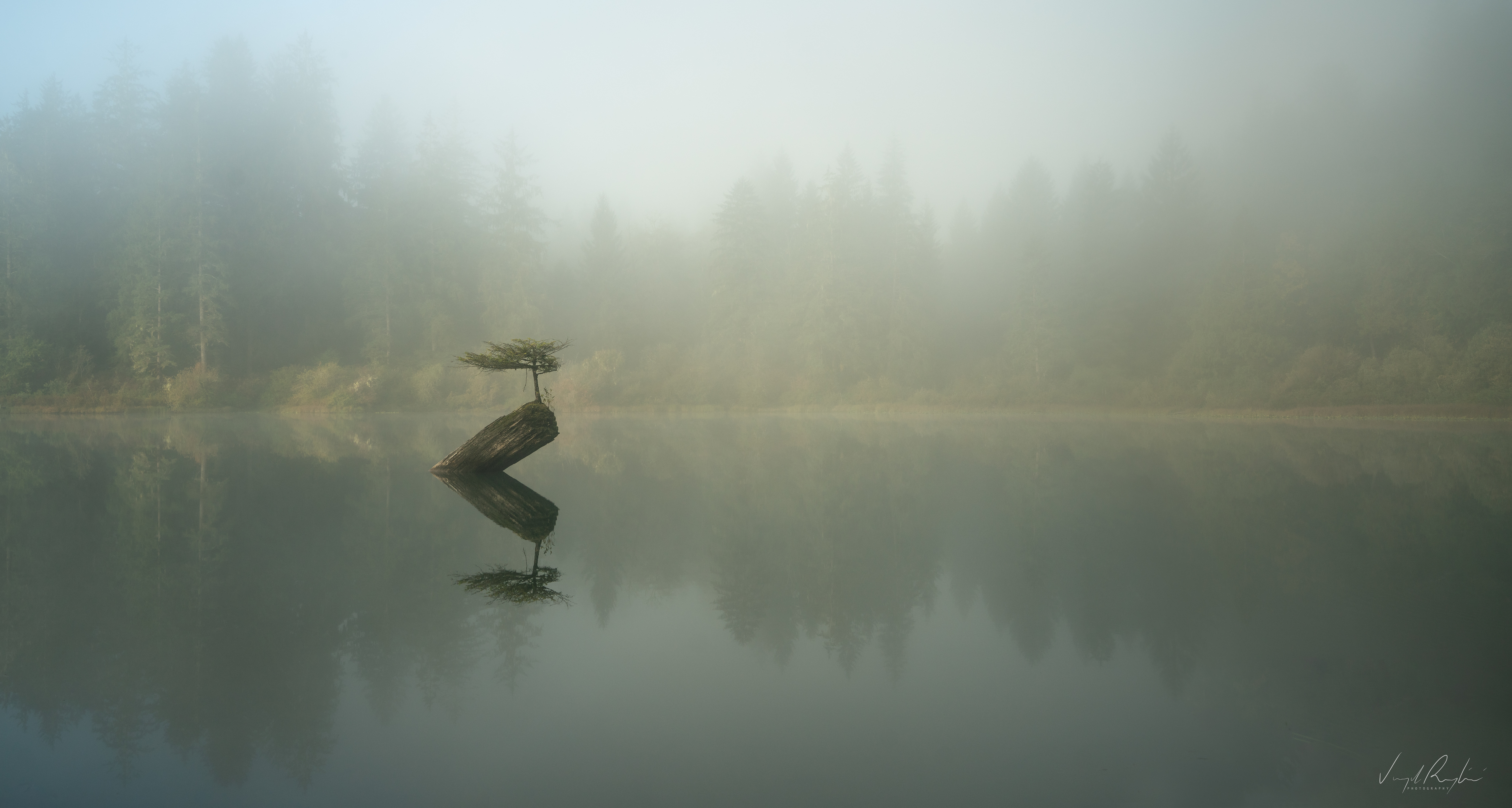 General 5120x2738 photography Virgil Reglioni nature environment calm waters landscape trees forest mist fog lake river depth of field reflection wilderness blurry background shore watermarked Vancouver Island Canada