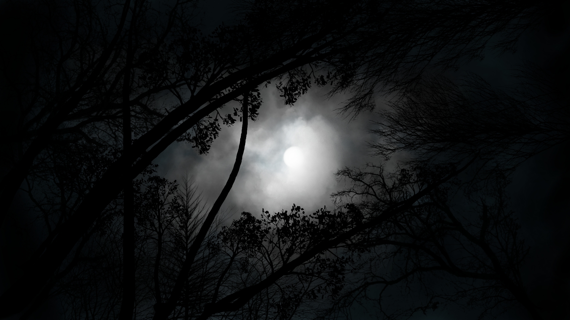 General 1920x1080 digital painting digital art moonlight night silhouette sky clouds Moon
