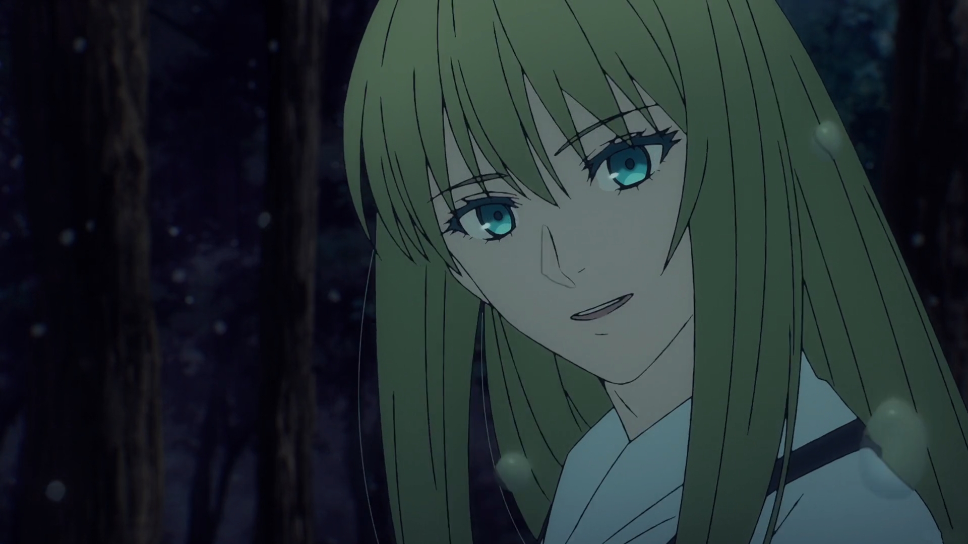 Anime 1920x1080 Fate series Fate strange Fake Enkidu (FGO) anime gender-fluid long hair Anime screenshot night