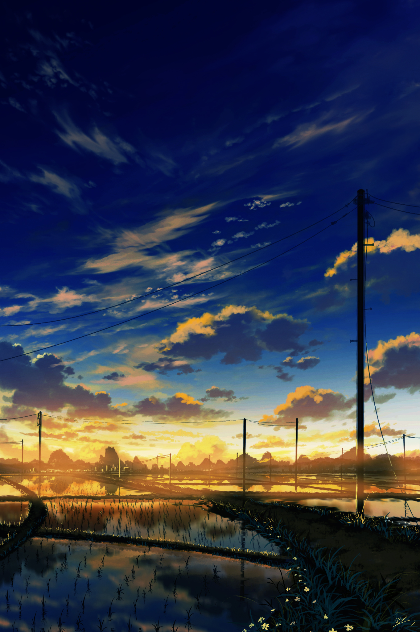 Anime 1362x2048 rice fields evening water power lines utility pole reflection signature flowers outdoors clouds sky HuashiJW wires horizon orange sky portrait display grass
