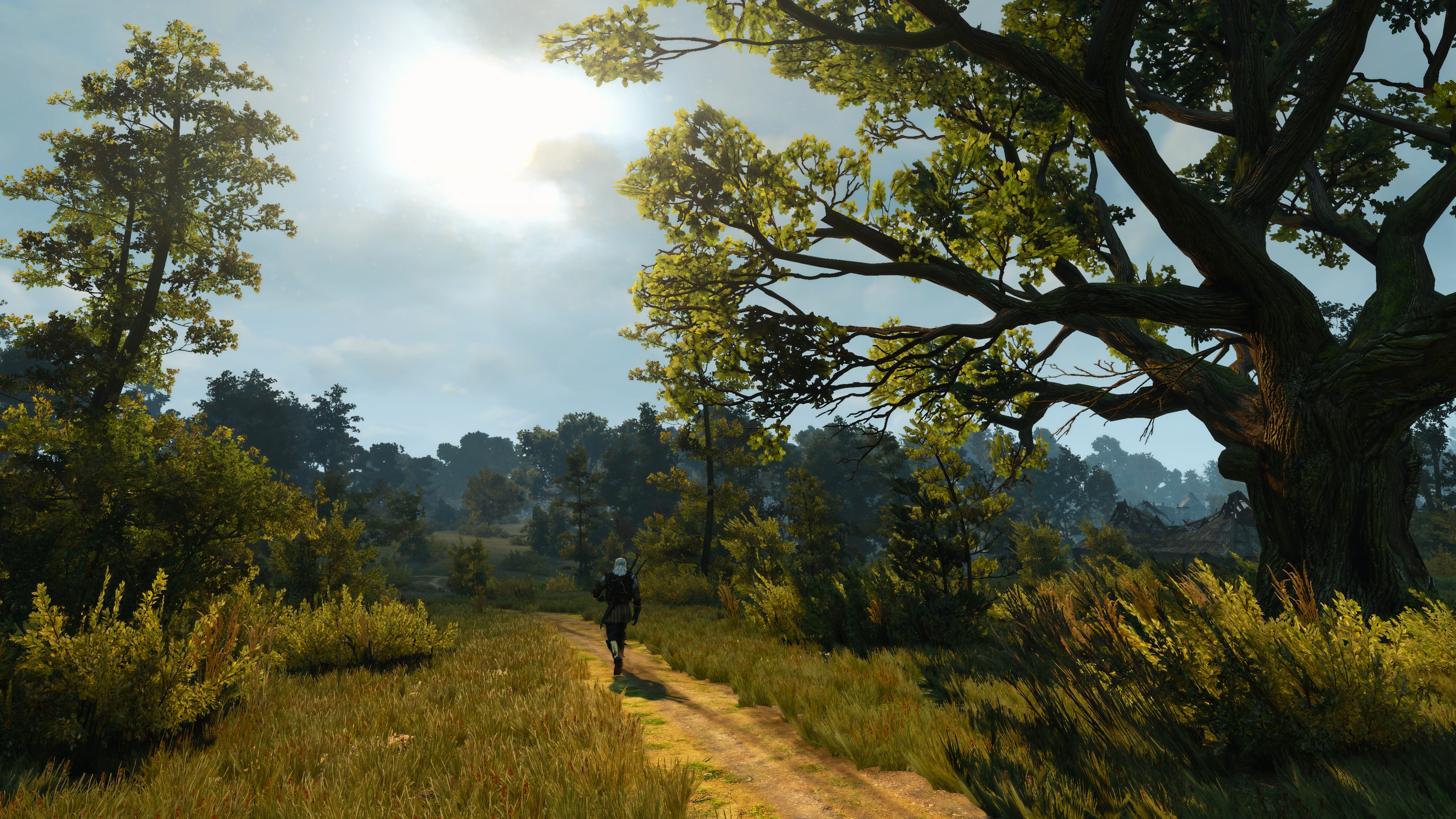 General 3840x2160 The Witcher 3: Wild Hunt PC gaming screen shot road forest trees video game art sunlight video games nature video game characters CGI video game men walking sky clouds plants