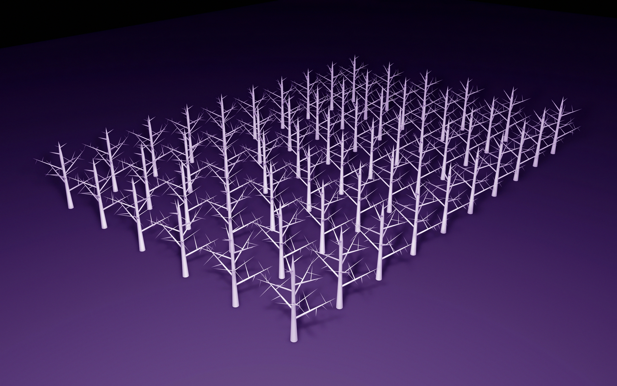 General 2560x1600 trees CGI digital art gradient purple background