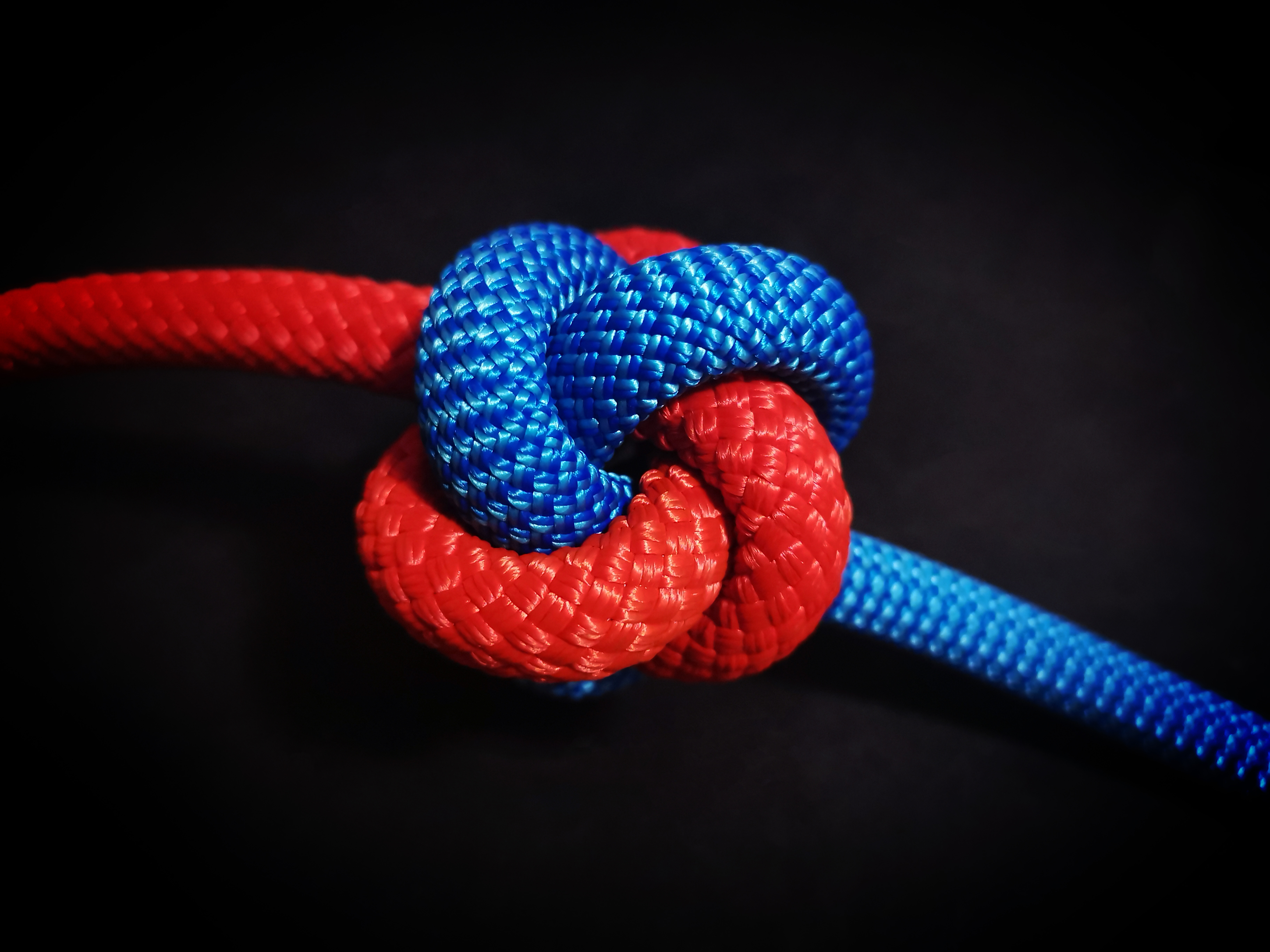 General 7296x5472 knot ropes closeup blue simple background red macro