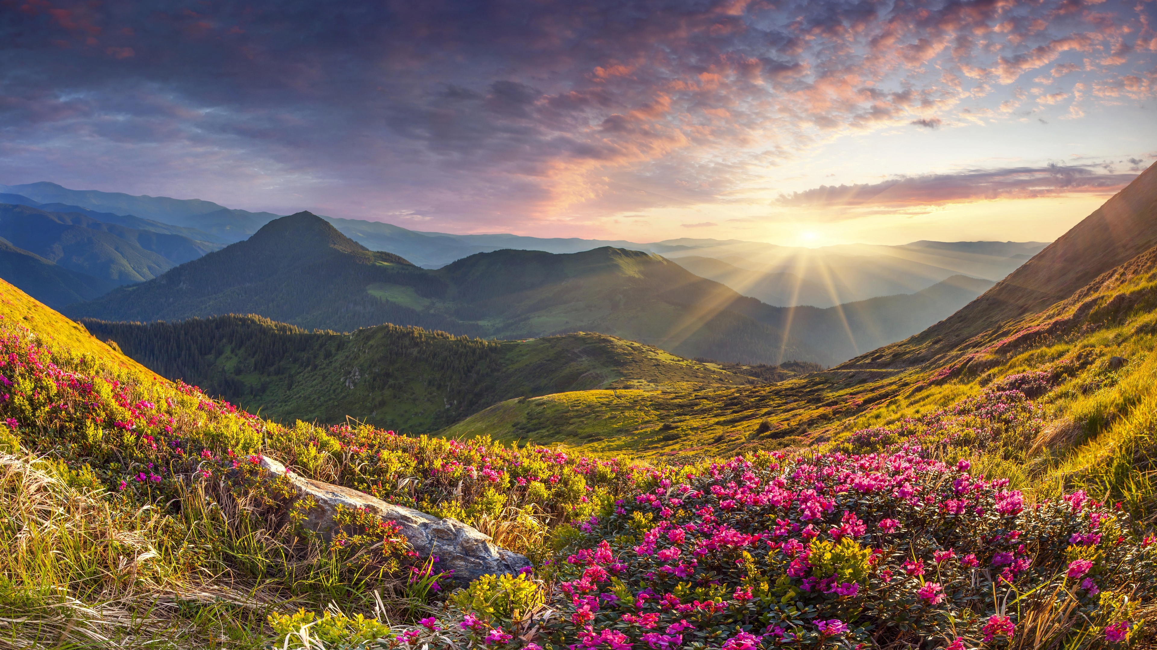 General 3840x2160 nature landscape mountains flowers Rhododendron stones sunrise sky clouds