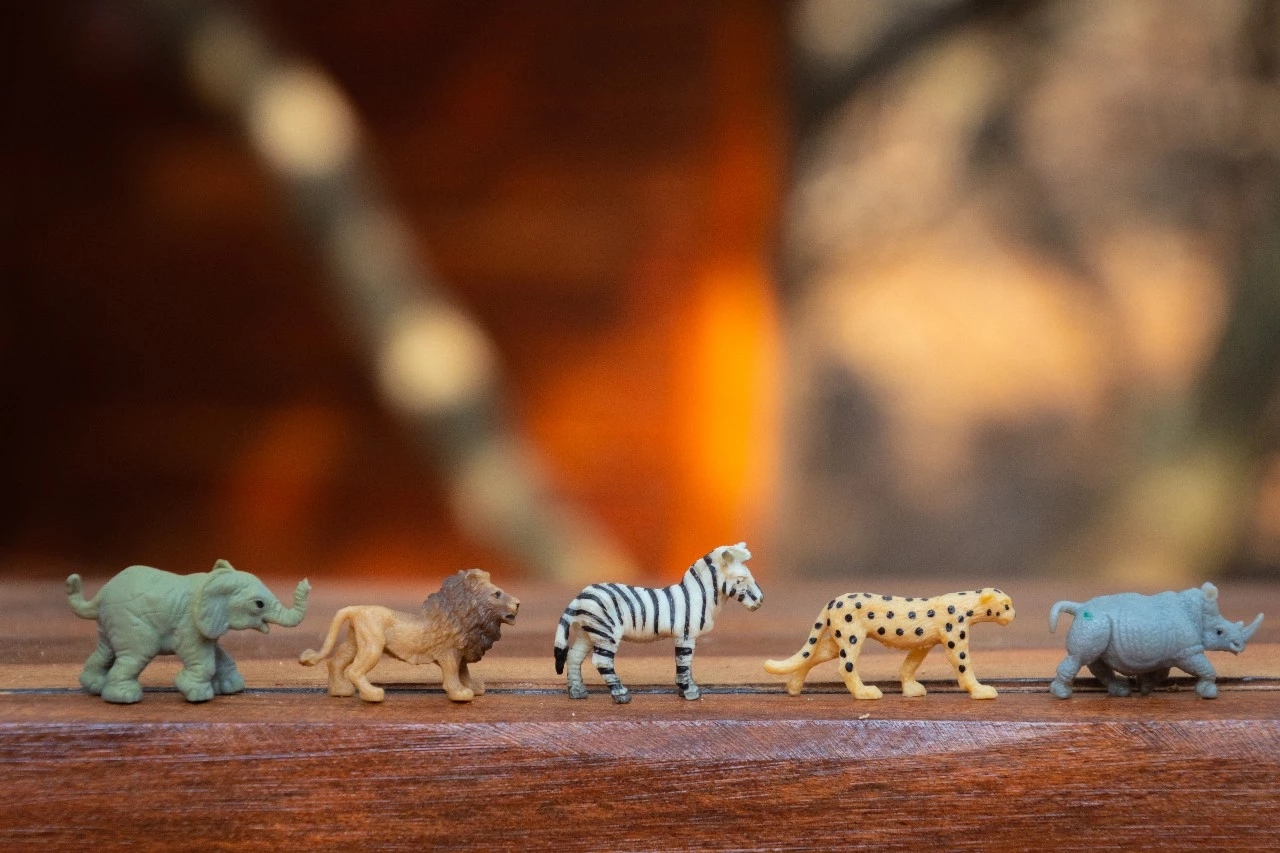 General 1280x853 animals elephant lion zebras leopard rhino toys