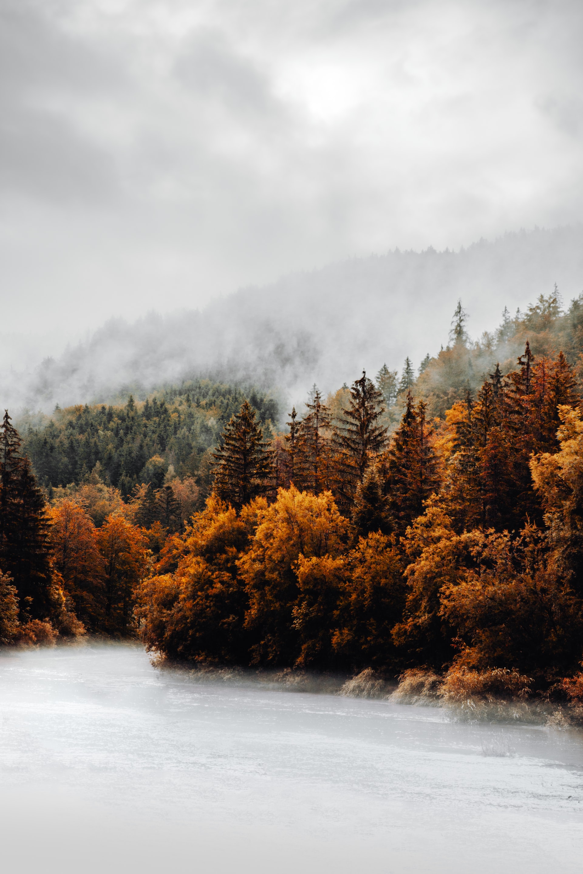 General 1920x2880 trees forest Austria photography fall mist