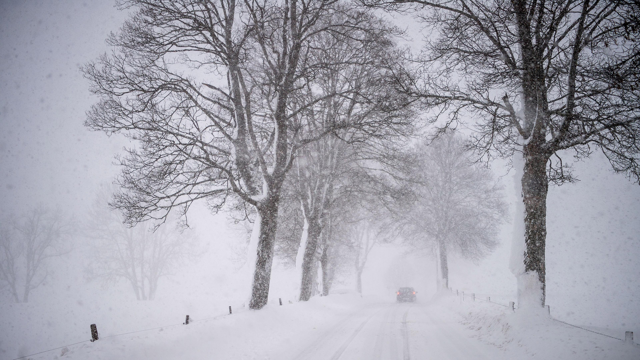 General 2560x1440 road snow winter storm trees car nature landscape