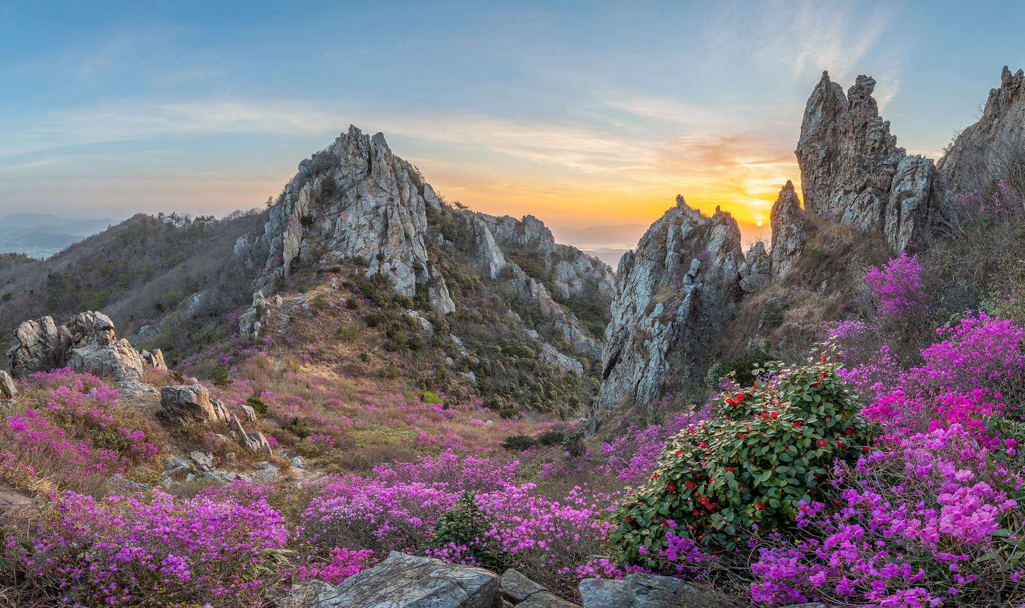 General 2000x1186 Jaeyoun Ryu landscape hills rocks flowers pink plants spring sky sunset nature
