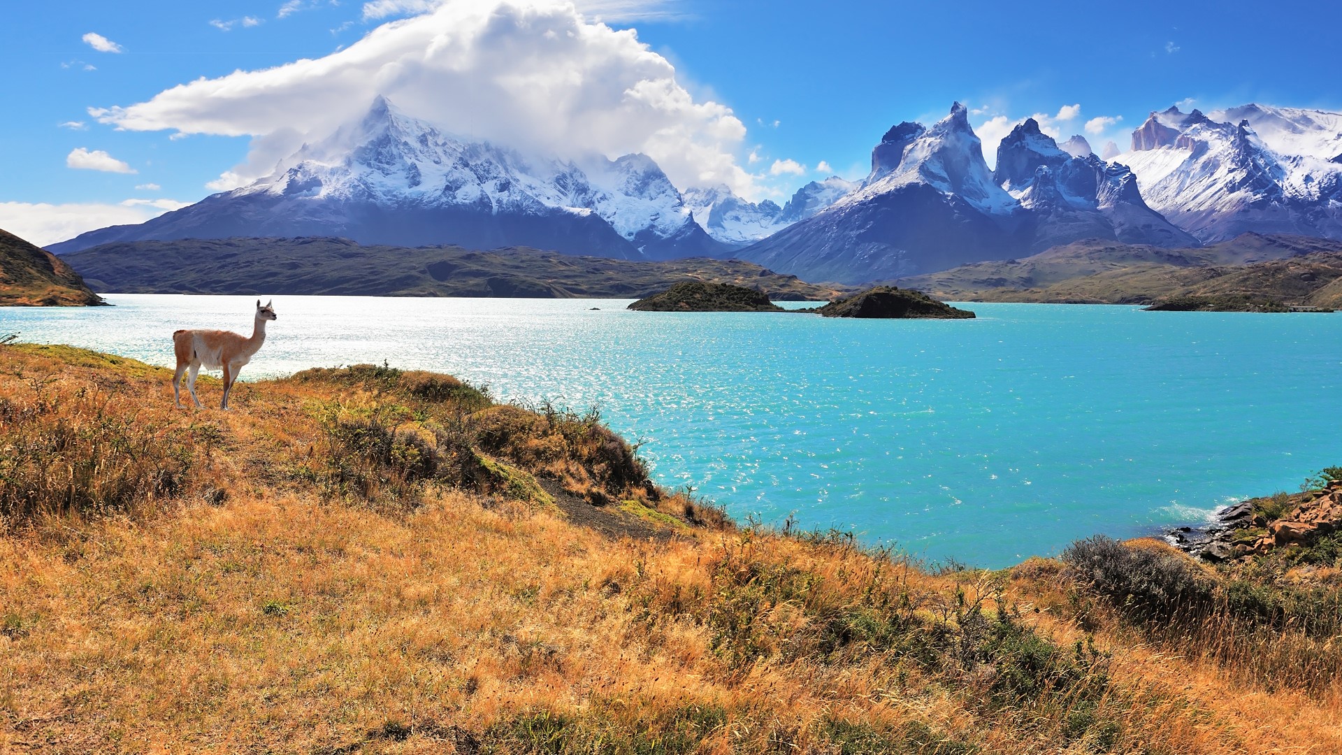 General 1920x1080 Torres del Paine Chile mountains clouds lake snow sky South America animals snowy peak nature Patagonia landscape