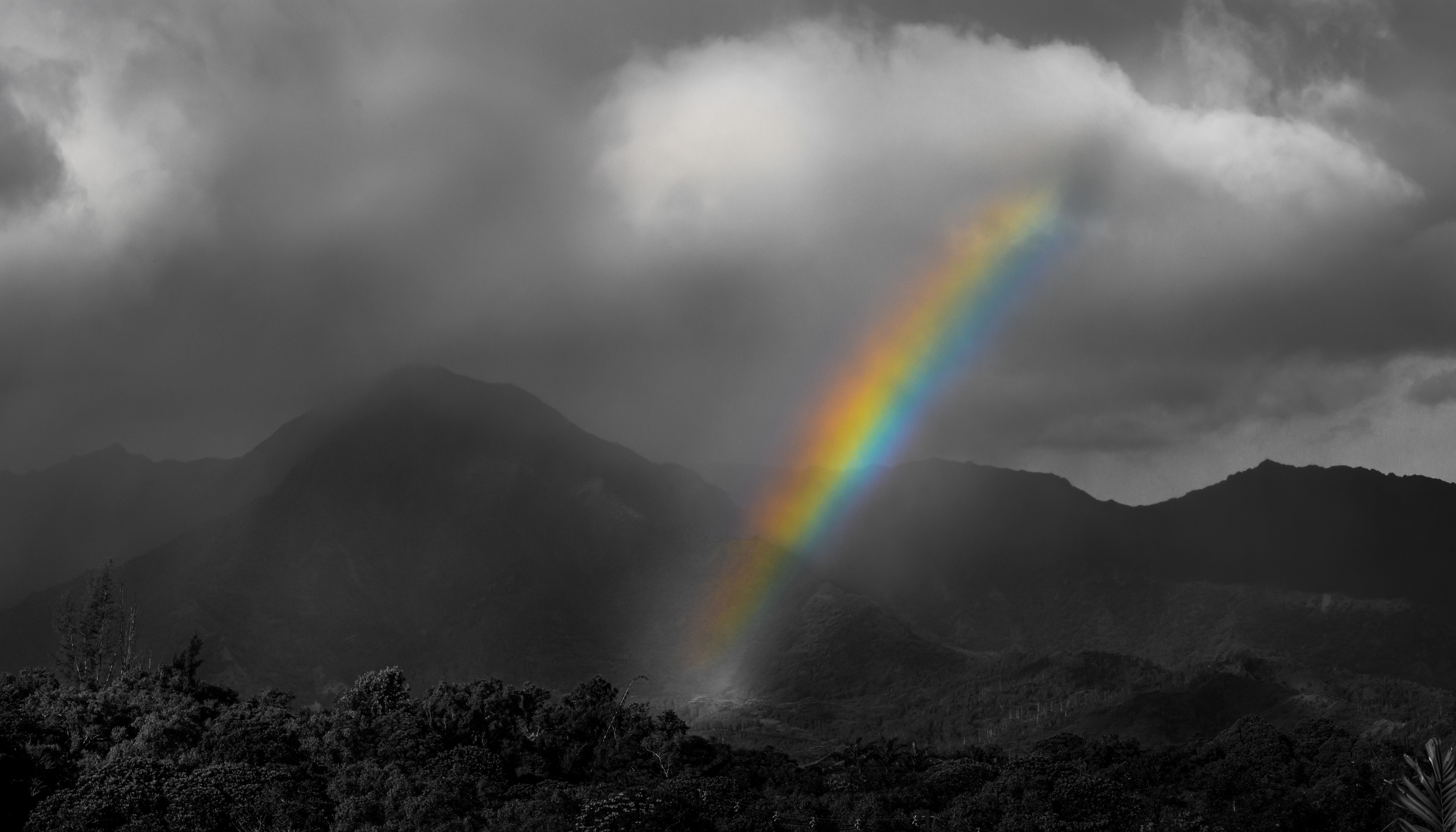 General 6144x3510 rainbows trees landscape photography clouds mist monochrome selective coloring low saturation Hawaii
