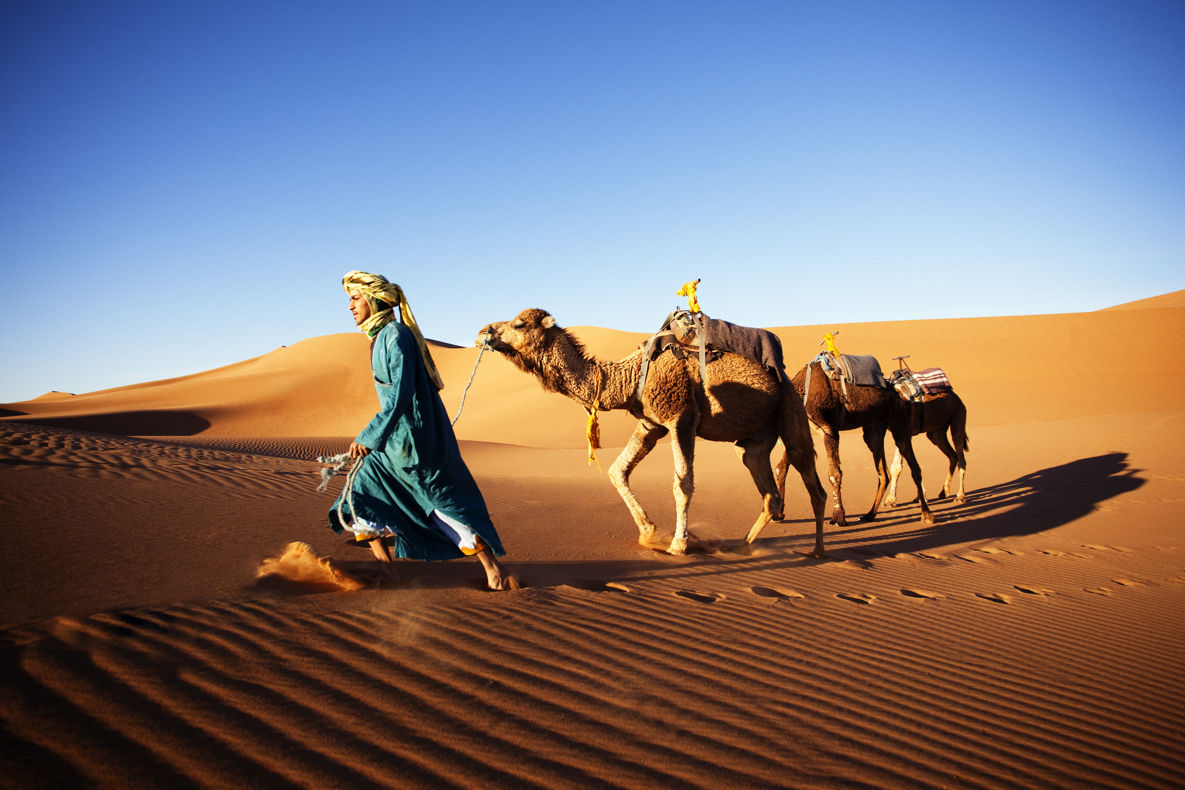 People 4000x2667 nature animals men camels desert sand clear sky dunes National Geographic sunlight shadow