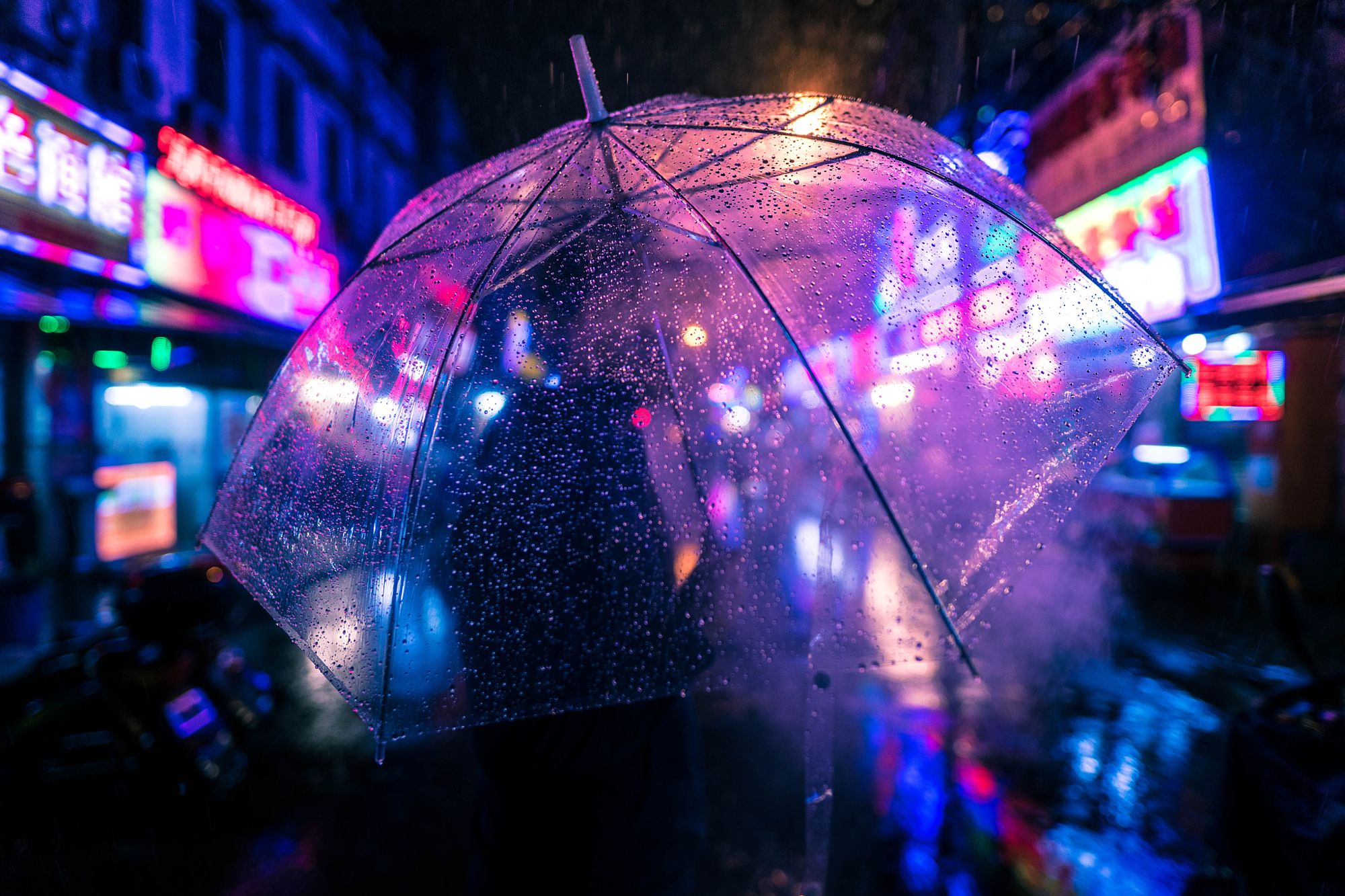 People 2000x1333 city people umbrella dark rain neon depth of field