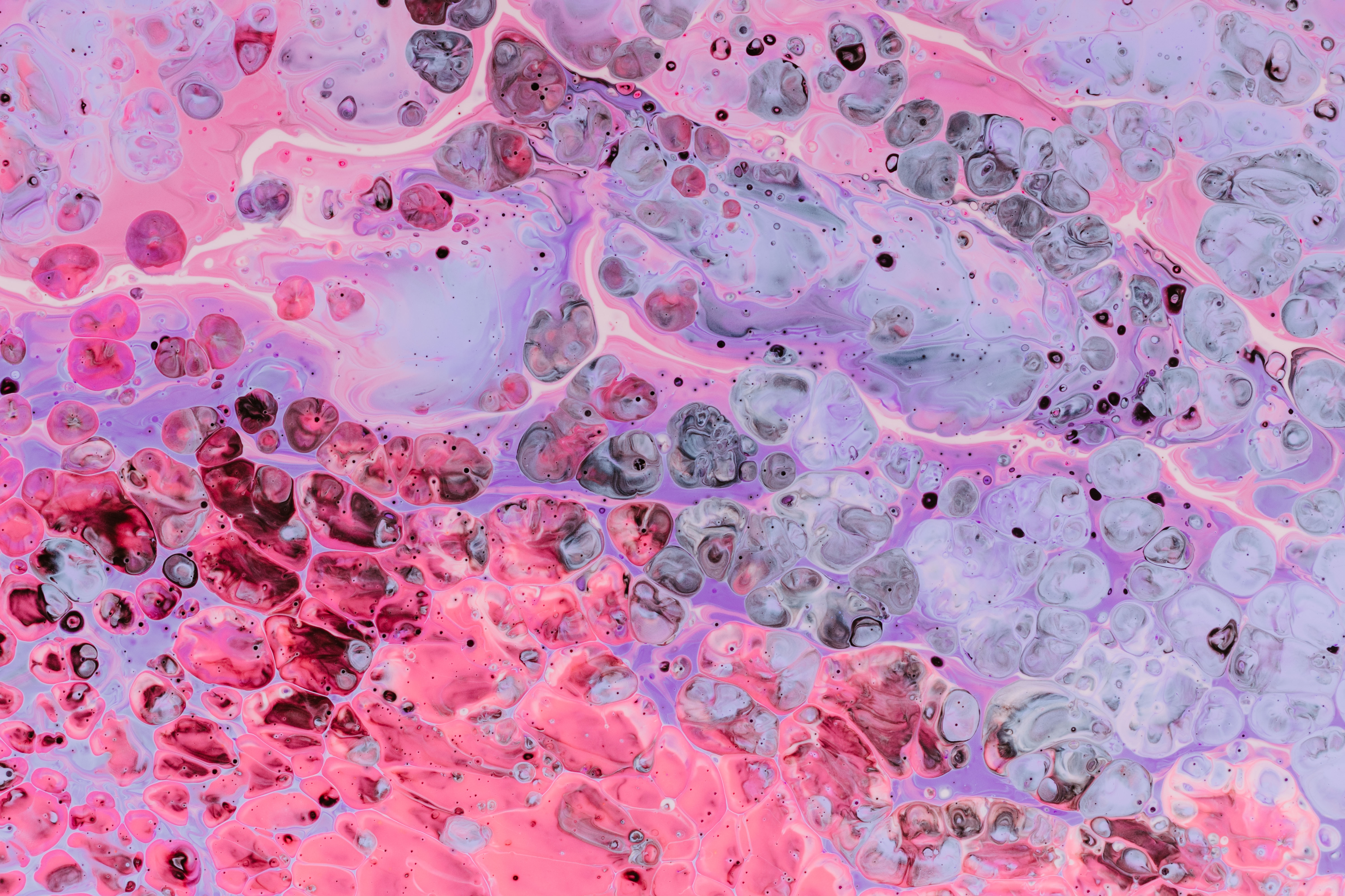 General 6000x4000 pink paint splatter paint splash abstract white purple digital art