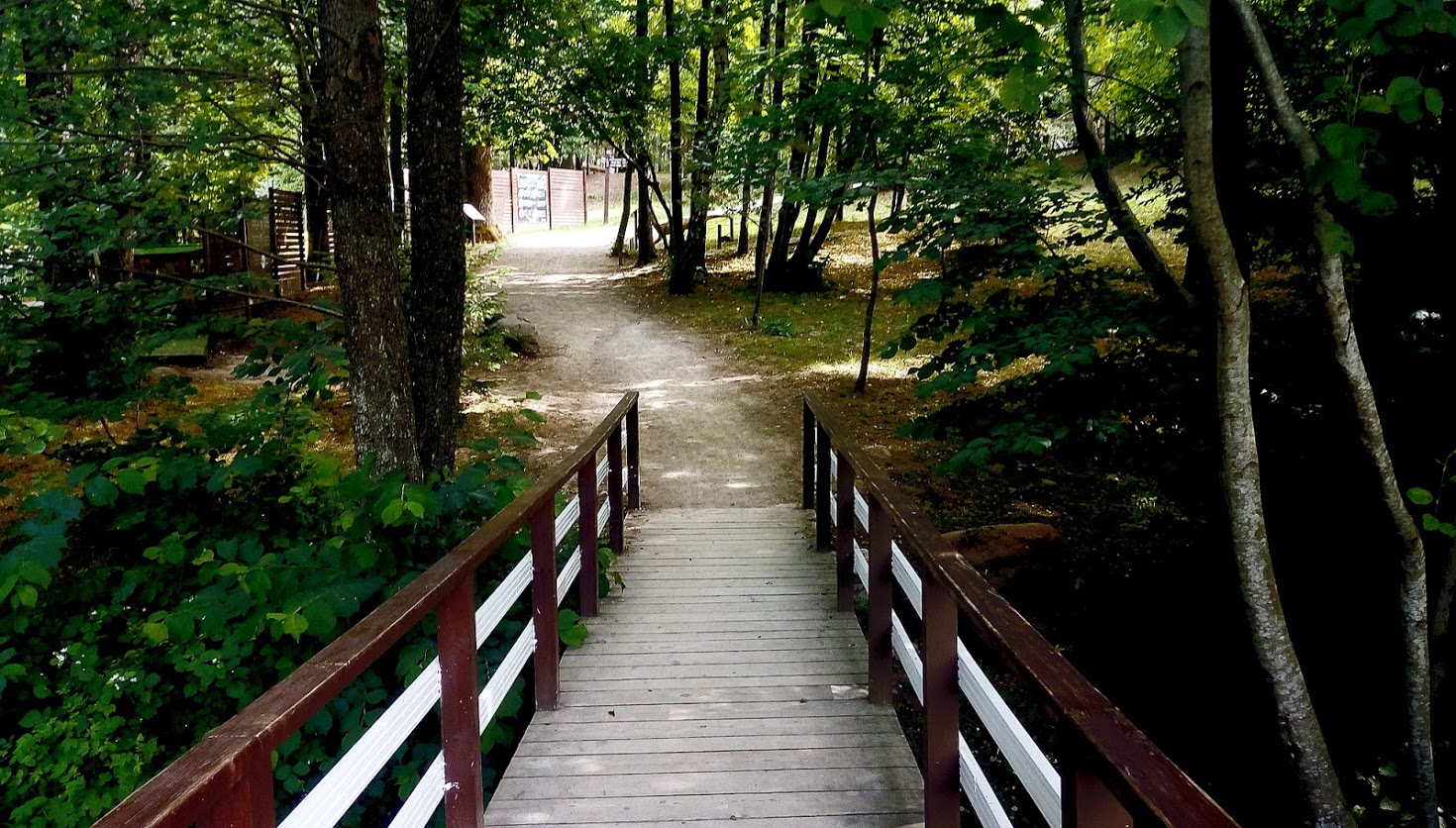 General 1470x836 forest wooden bridge path