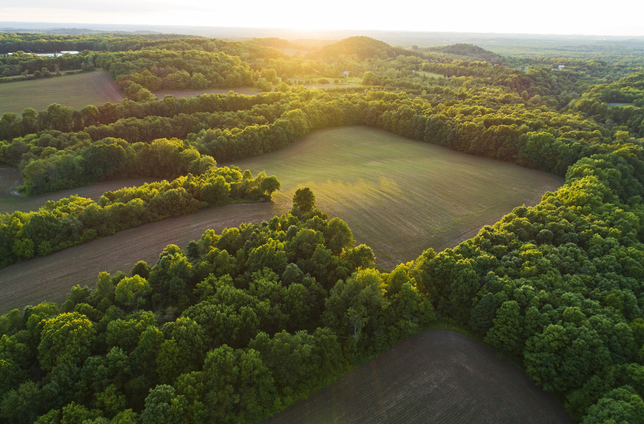 General 2048x1349 landscape field sunlight trees