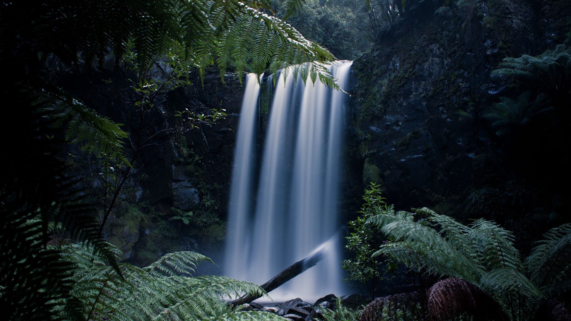 General 1920x1080 landscape nature rainforest waterfall leaves long exposure