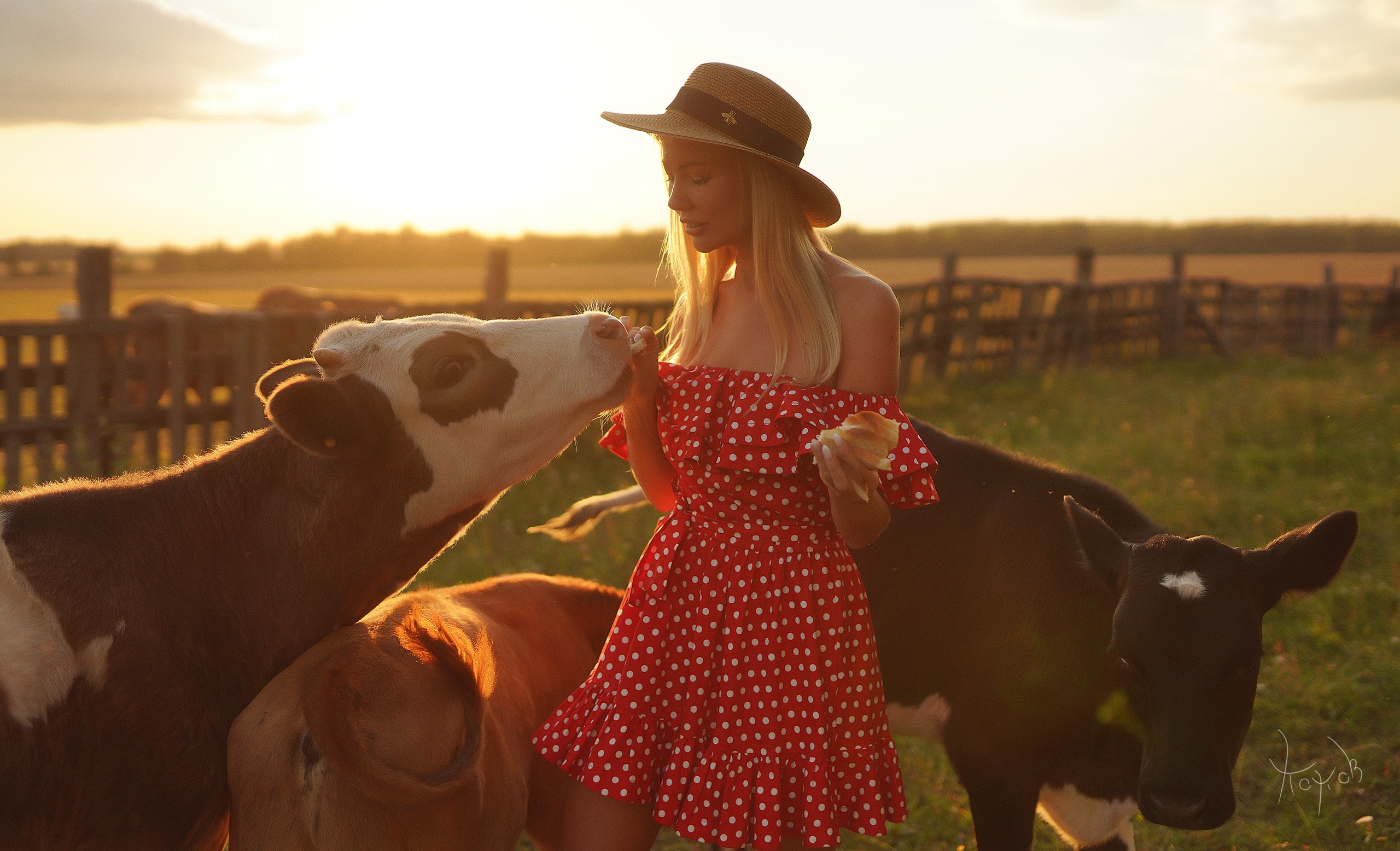 People 2560x1556 women Andrey Popov blonde women outdoors hat animals cow bare shoulders red dress polka dots summer dress dress Maria Avtakhova