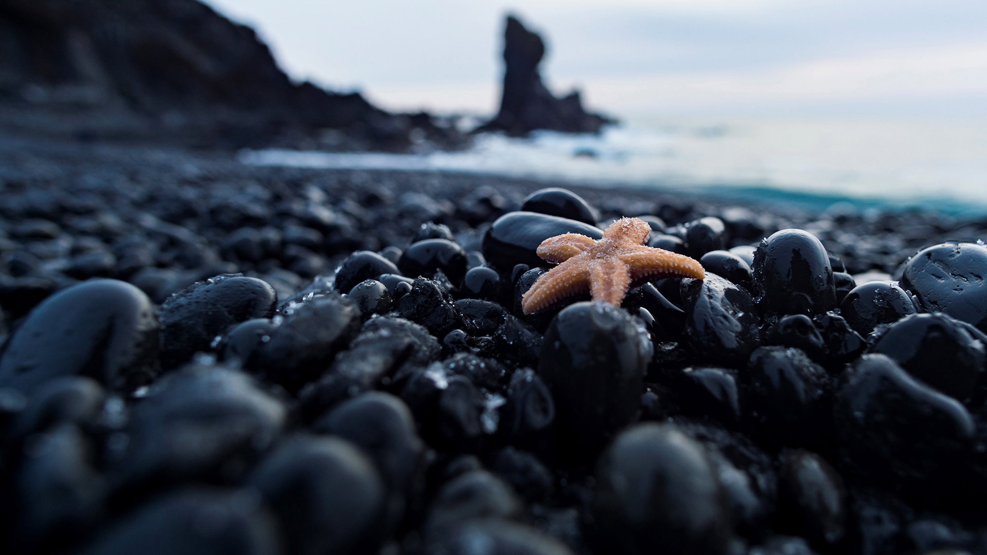 General 1920x1080 water pebbles Iceland starfish wet shore stones pebbles beach