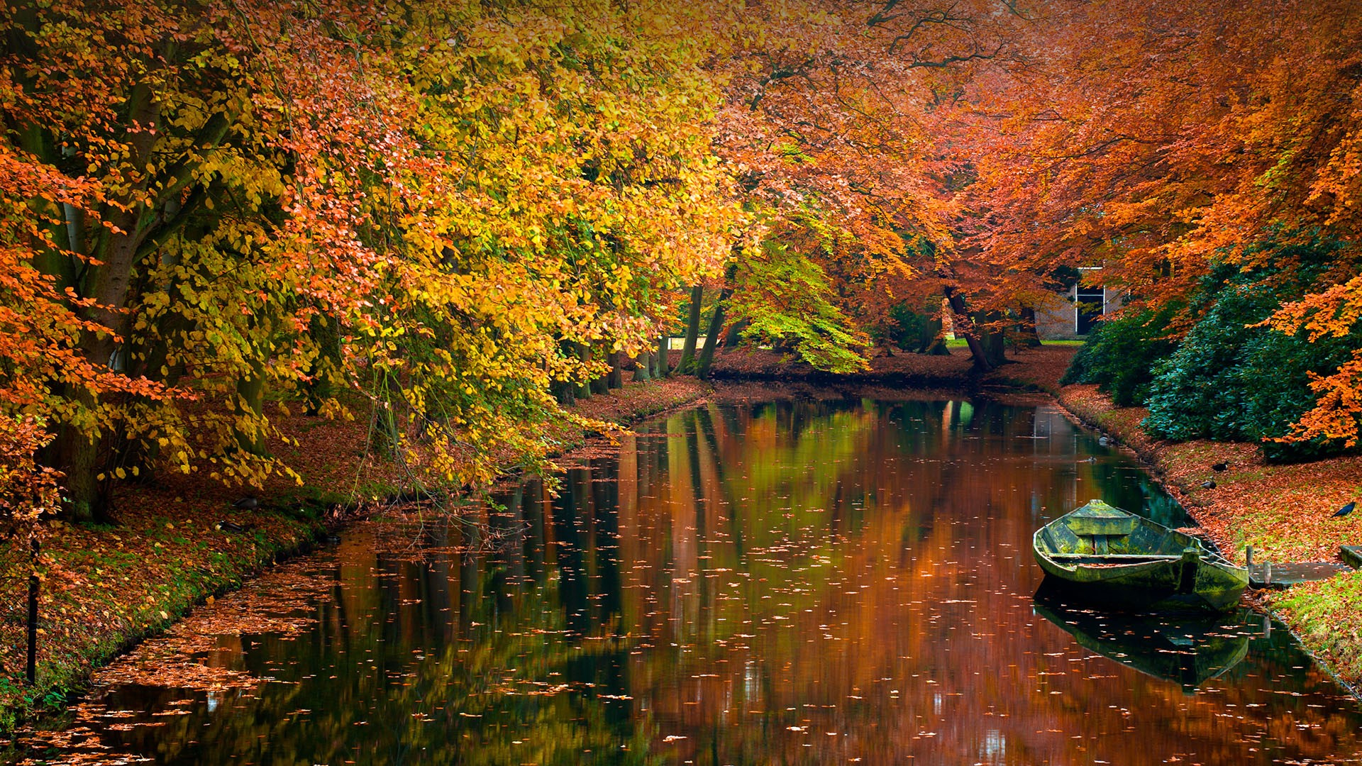 General 1920x1080 nature landscape boat trees house fall leaves plants reflection Netherlands
