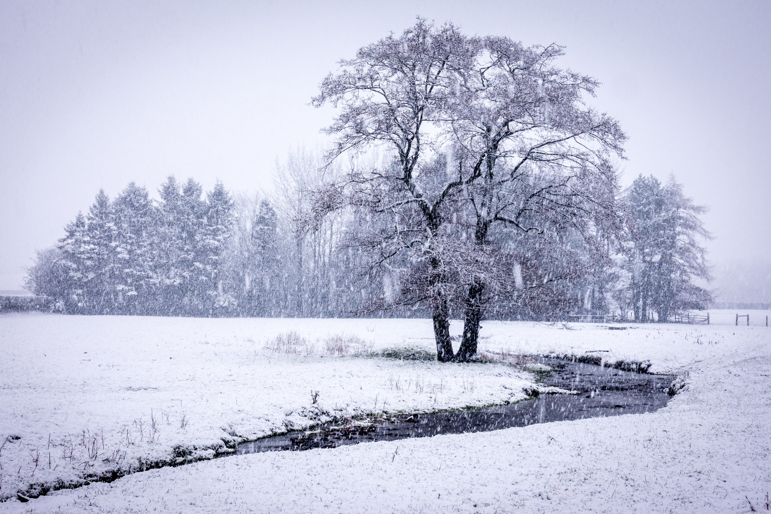 General 2560x1707 trees winter snow landscape snowing river overcast nature