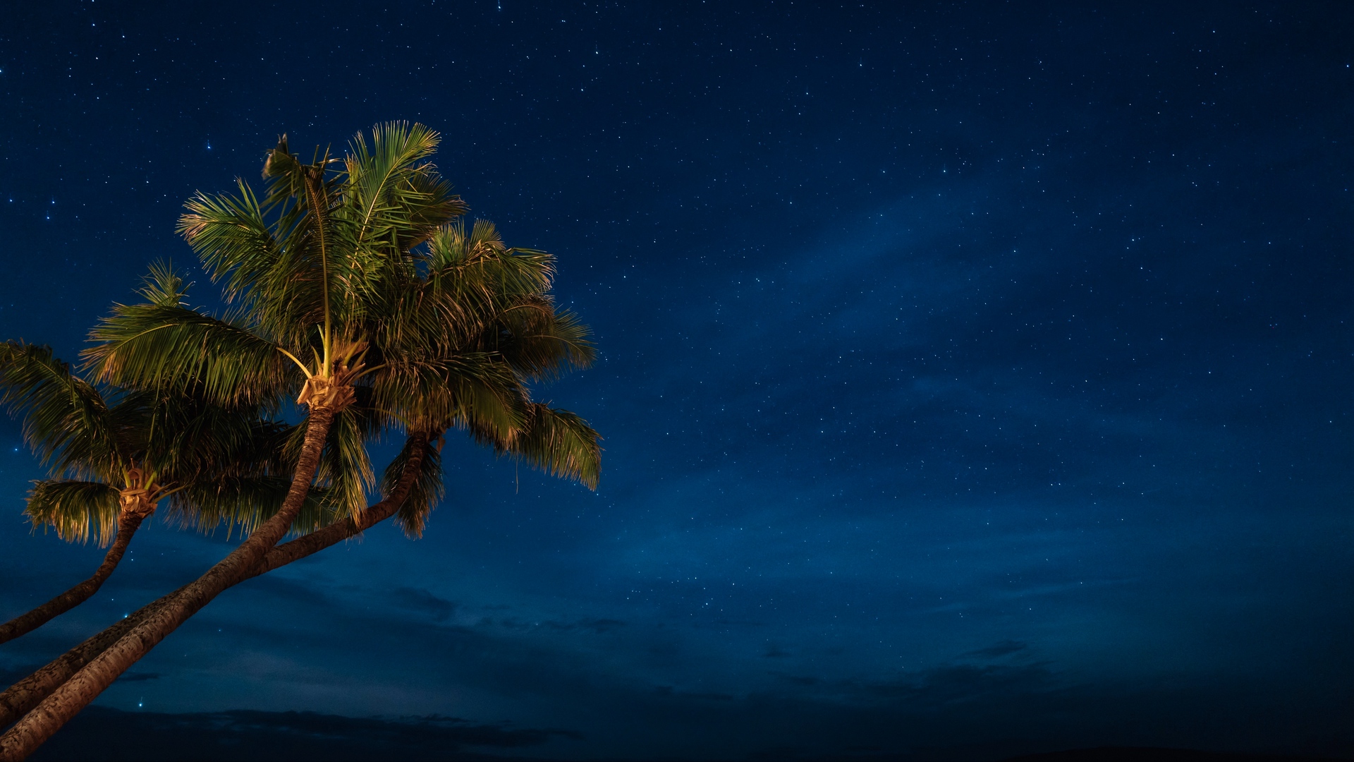 General 1920x1080 palm trees blue night starry night tropics tropical stars