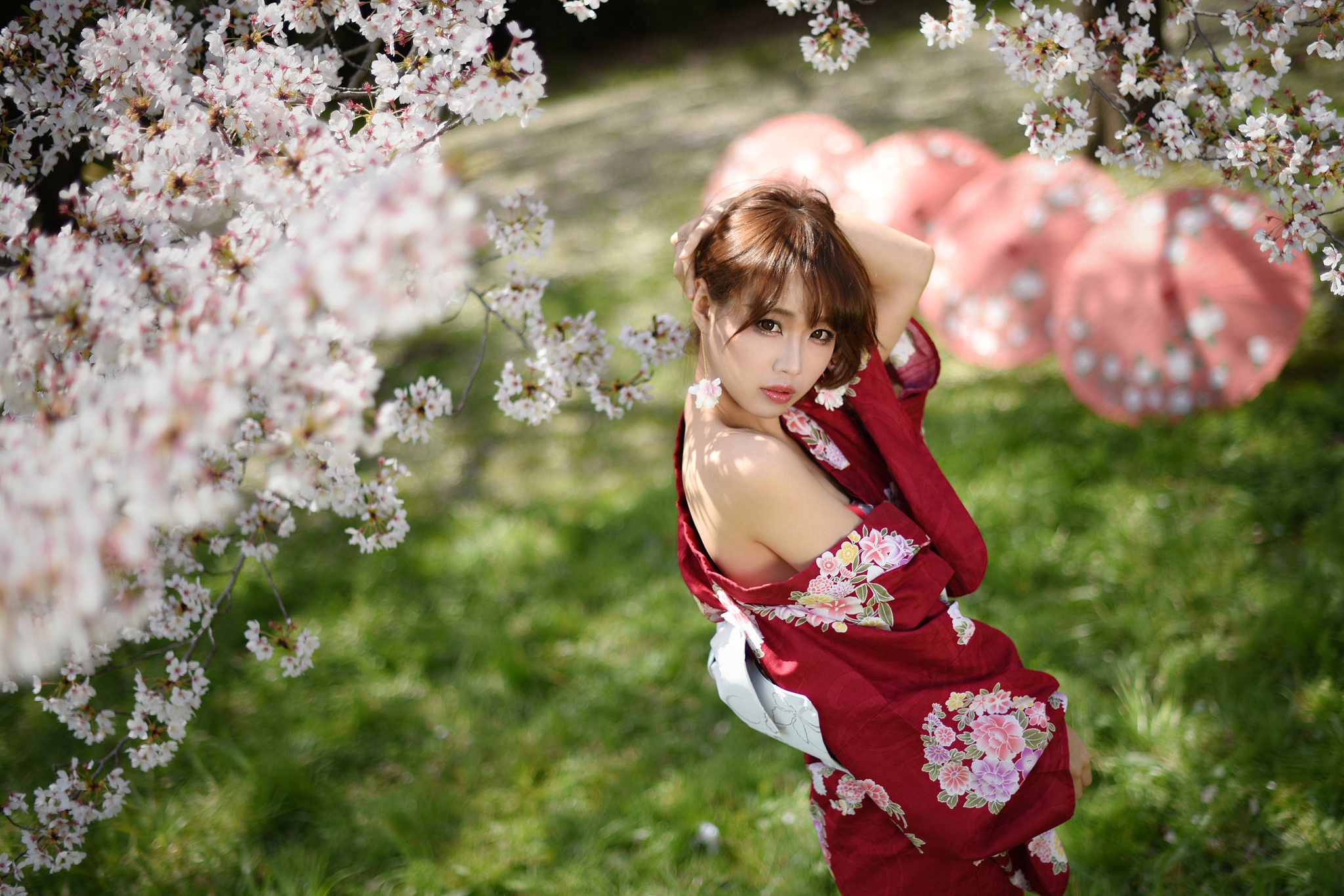 People 2048x1366 Asian women yukata paper umbrellas cherry blossom