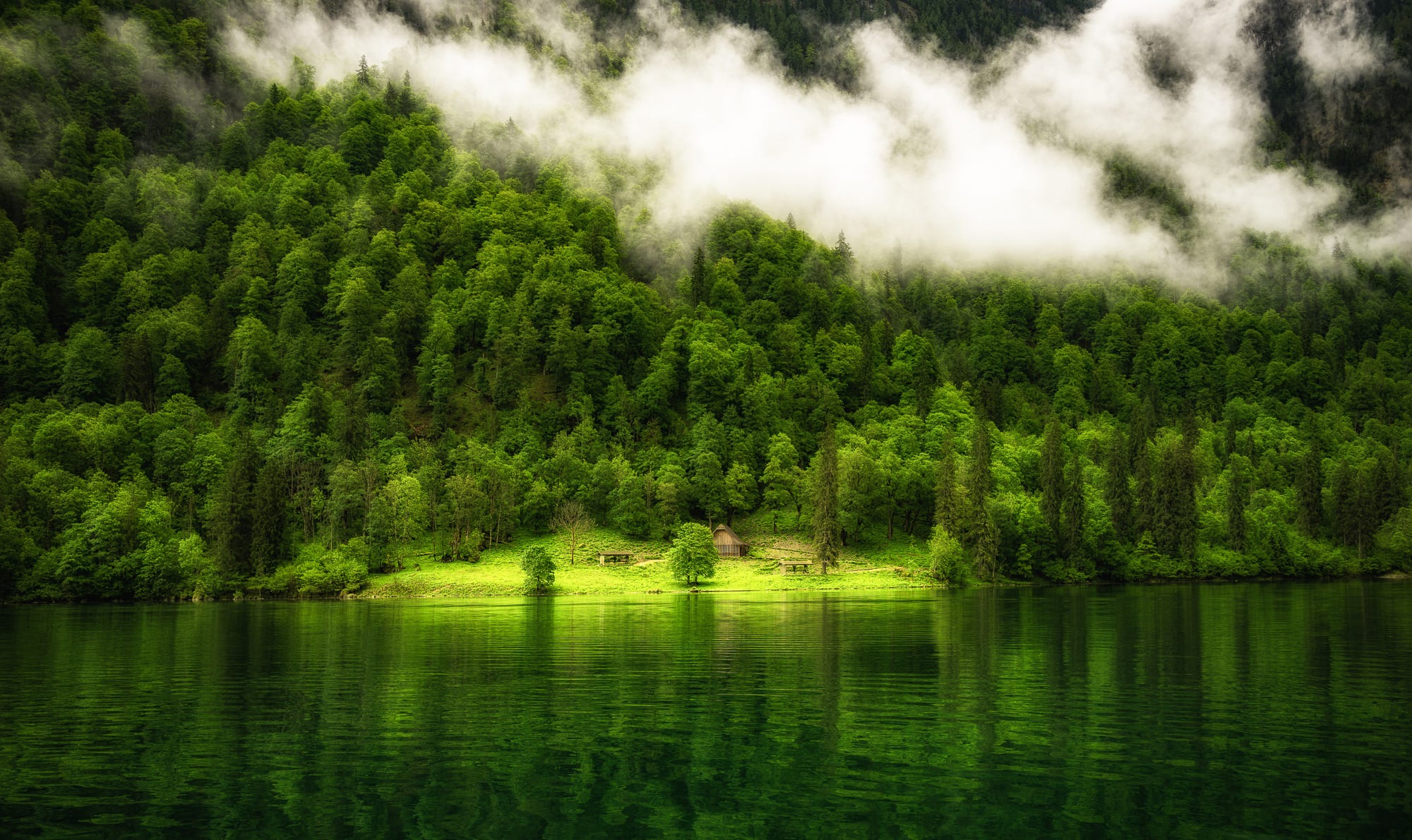 General 2000x1190 nature landscape Germany lake reflection trees mist forest mountains
