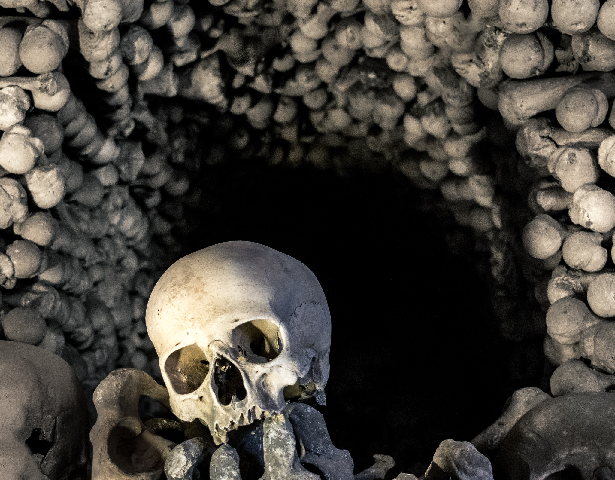 General 2048x1597 skull bones black death