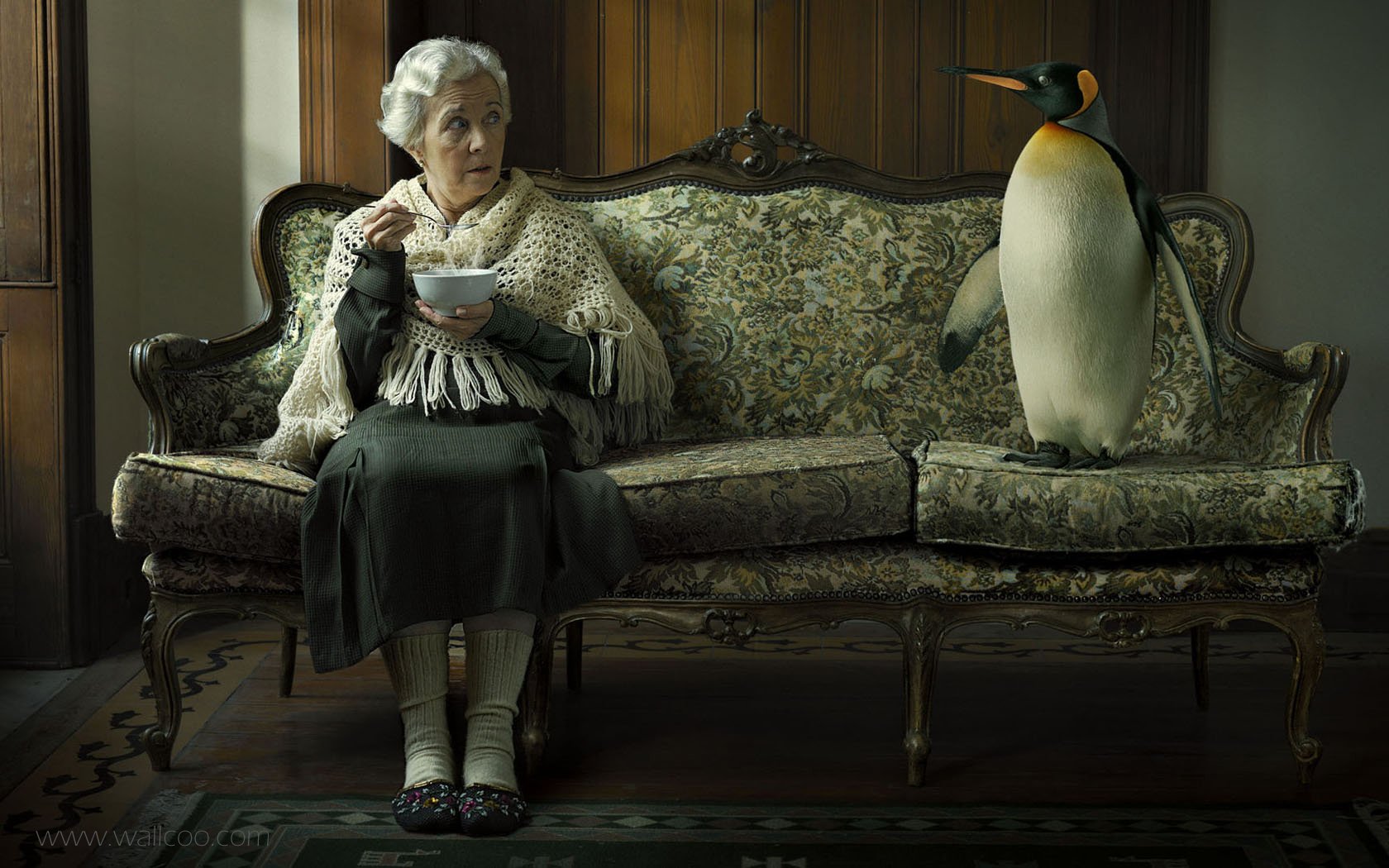 People 1680x1050 photoshopped old people couch indoors animals penguins