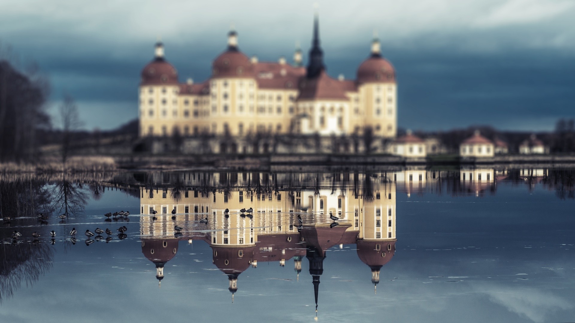 General 1920x1080 Moritzburg Castle reflection water birds