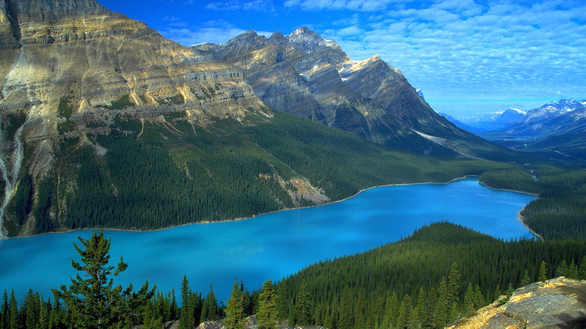 General 1920x1080 mountains lake forest landscape Peyto Lake Canada trees water sky clouds nature Banff National Park