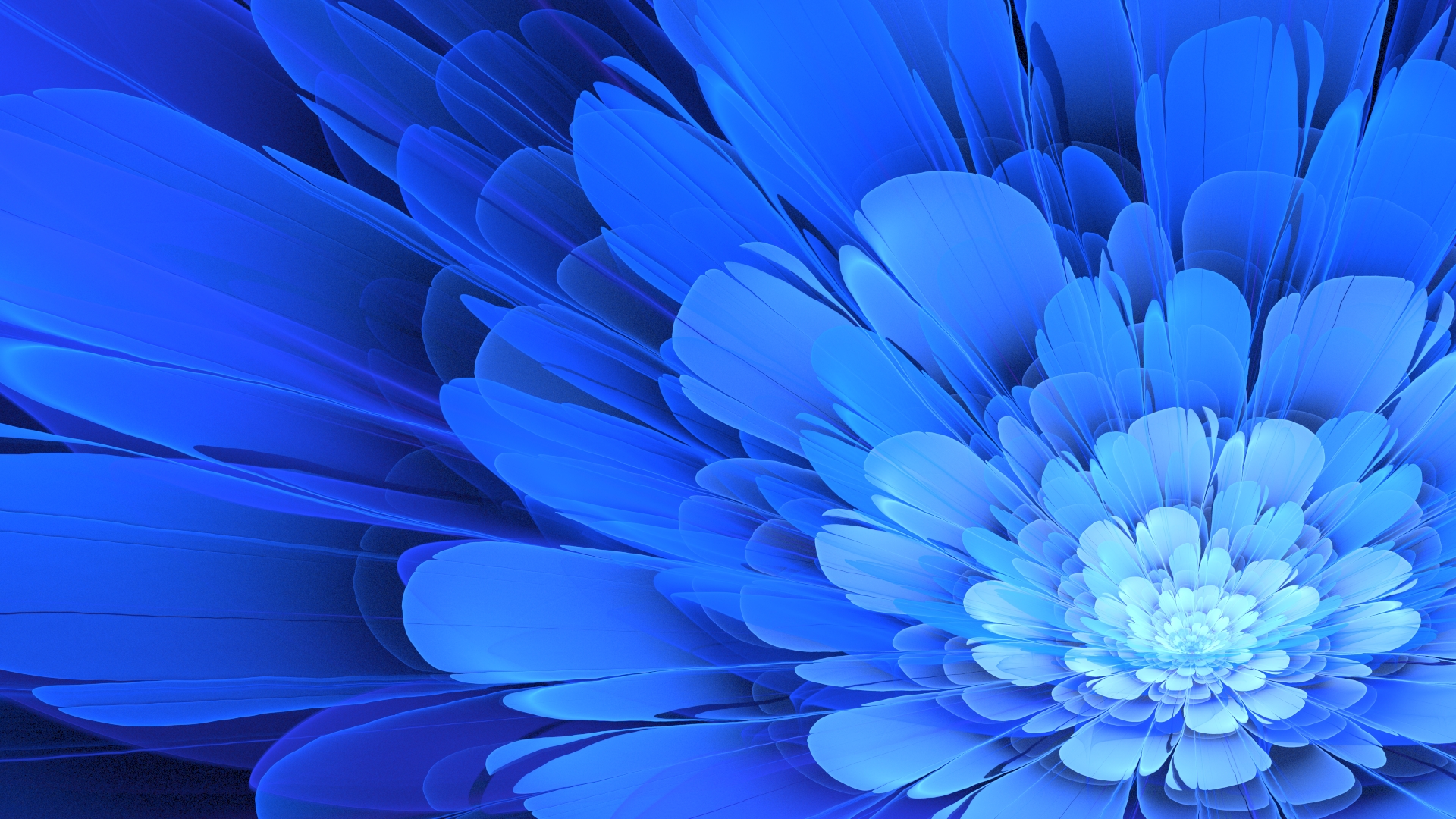 General 1920x1080 flowers Apophysis blue flowers blue