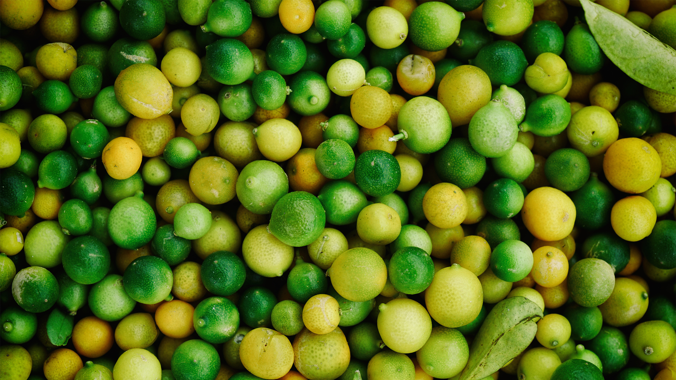 General 2560x1440 food fruit lime green yellow top view