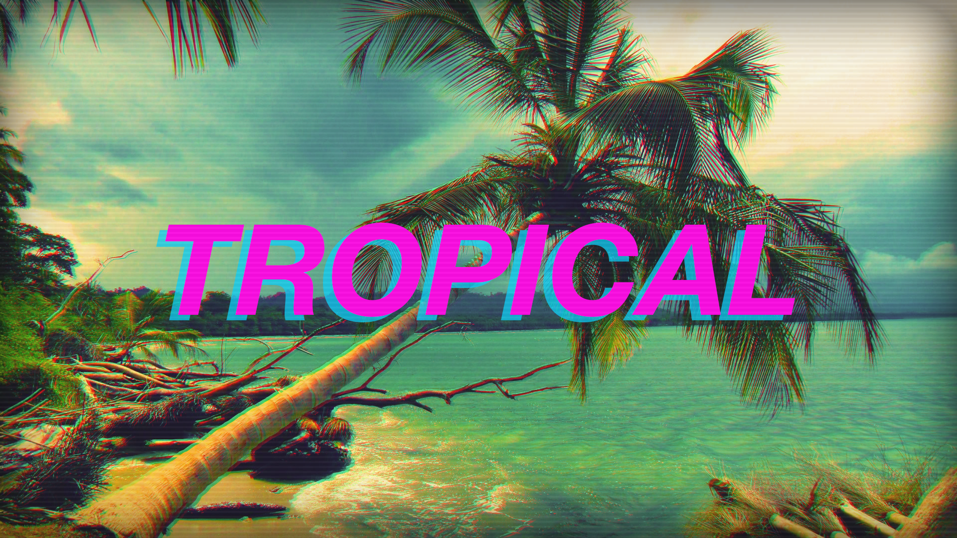 General 1920x1080 neon palm trees typography tropical