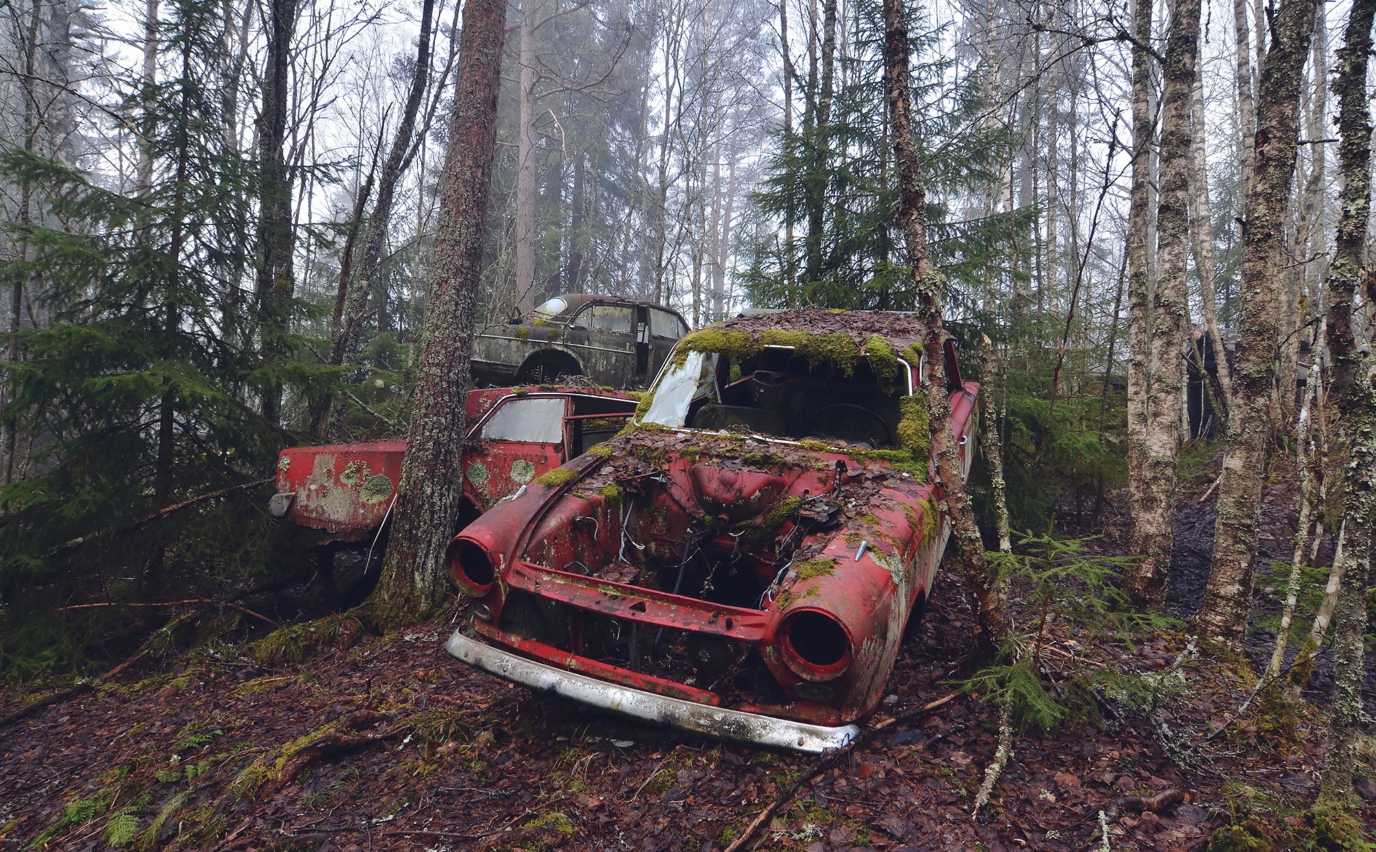 General 2000x1239 wreck ruins car vehicle outdoors trees