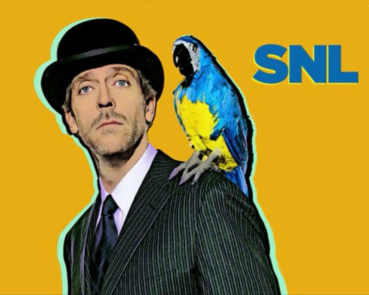 General 1280x1024 simple background tie hat parrot animals SNL men yellow background actor Hugh Laurie birds
