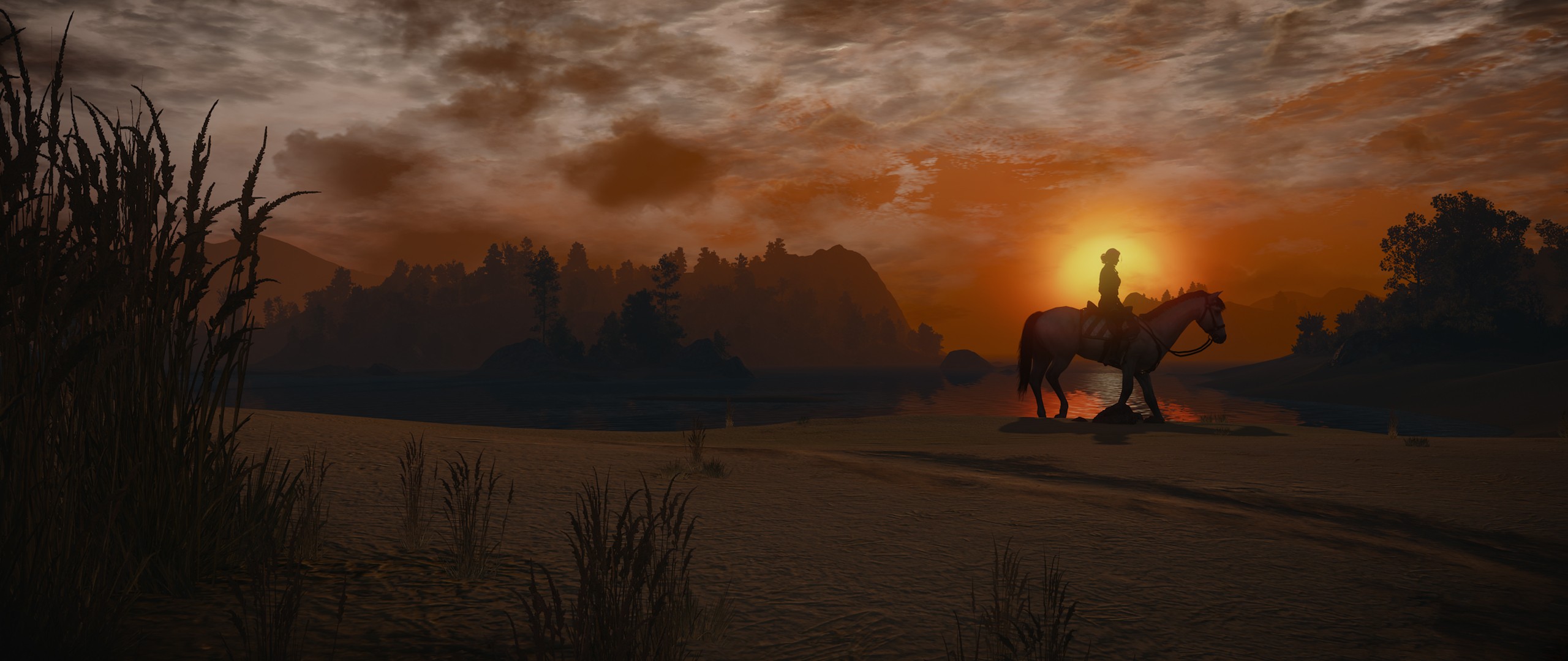 General 2560x1080 The Witcher 3: Wild Hunt video games horse sunlight sky The Witcher