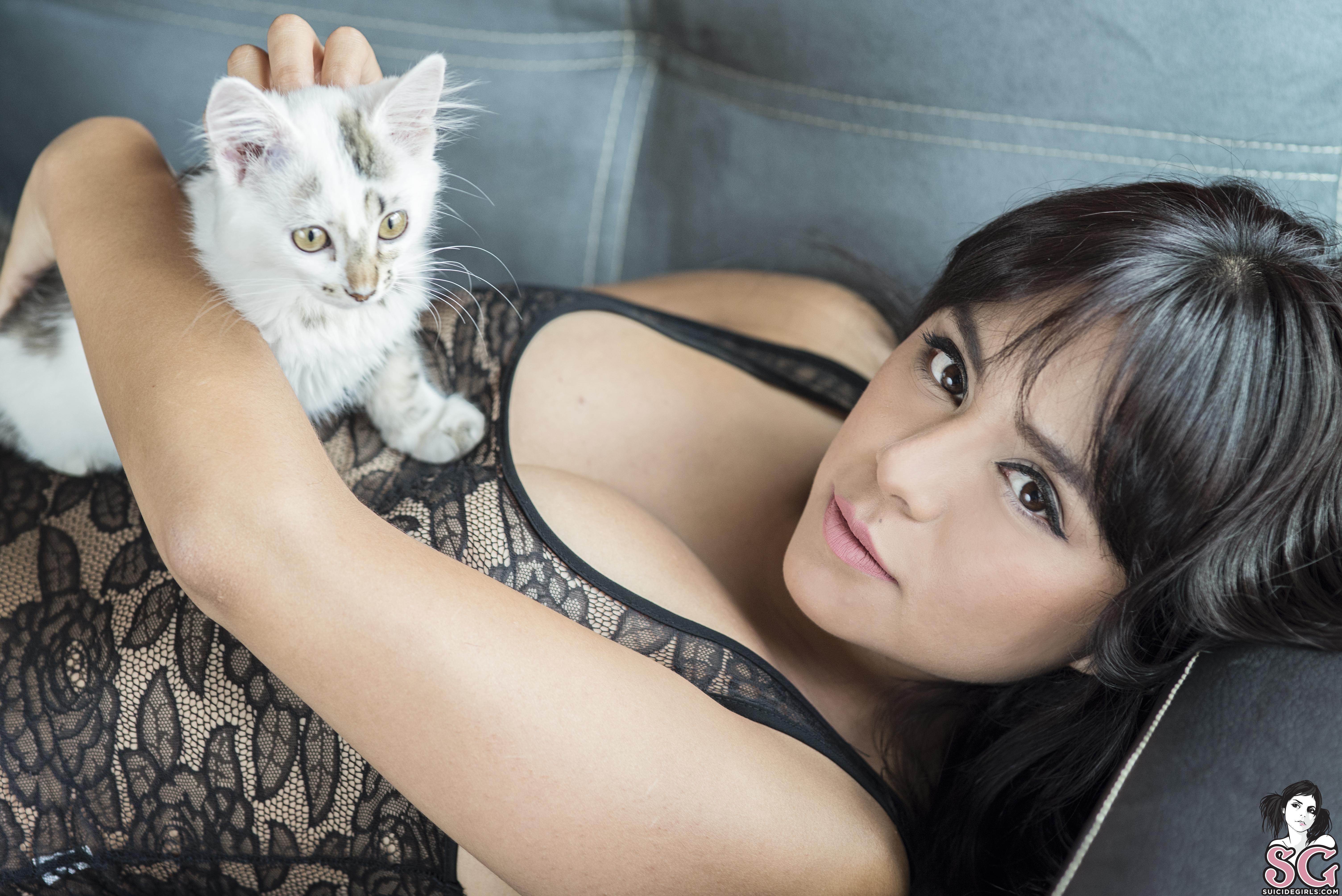 People 6016x4016 Suicide Girls couch cats black hair brown eyes lying on back kittens women with cat women