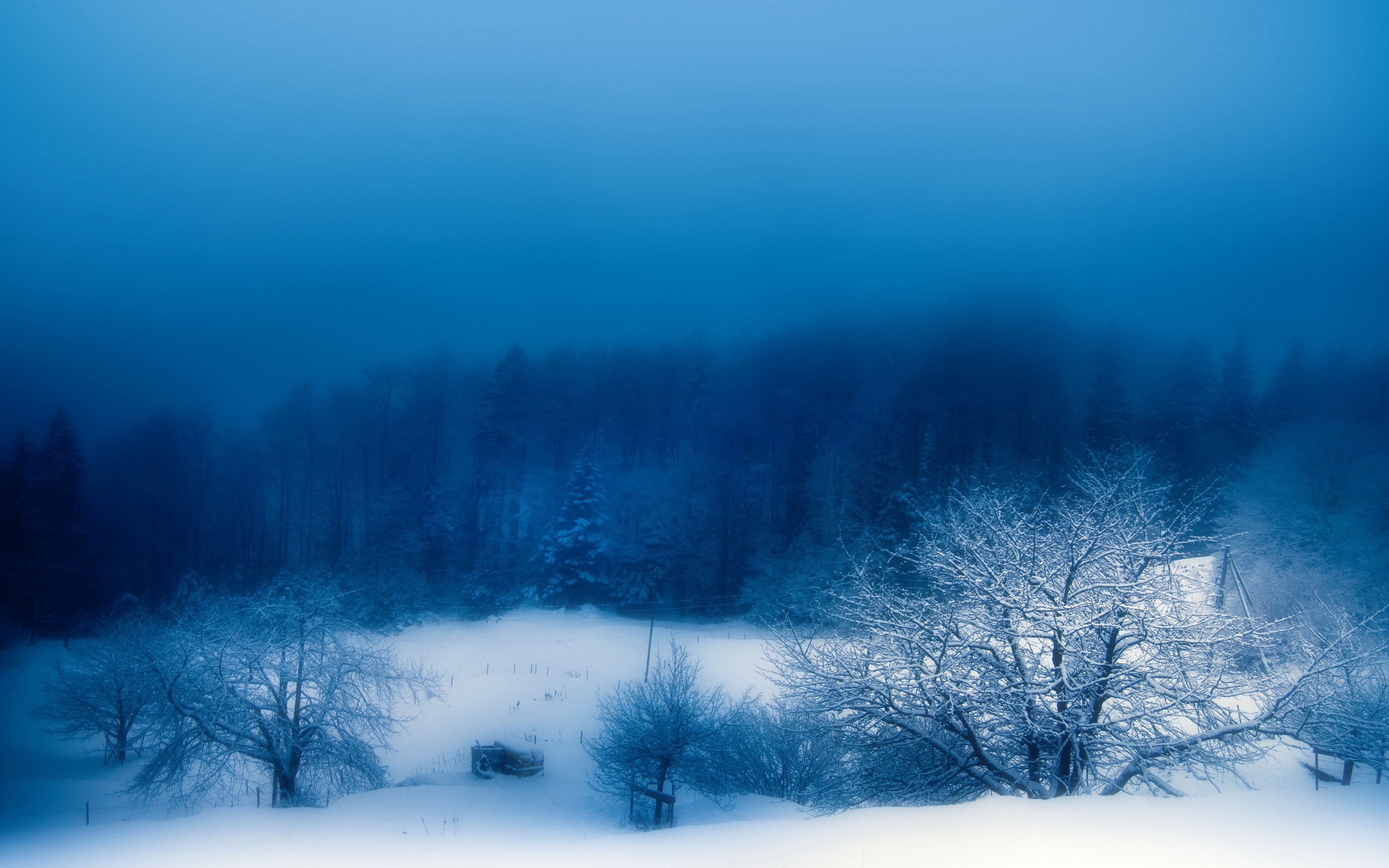 General 2560x1600 winter landscape snow nature blue cold outdoors