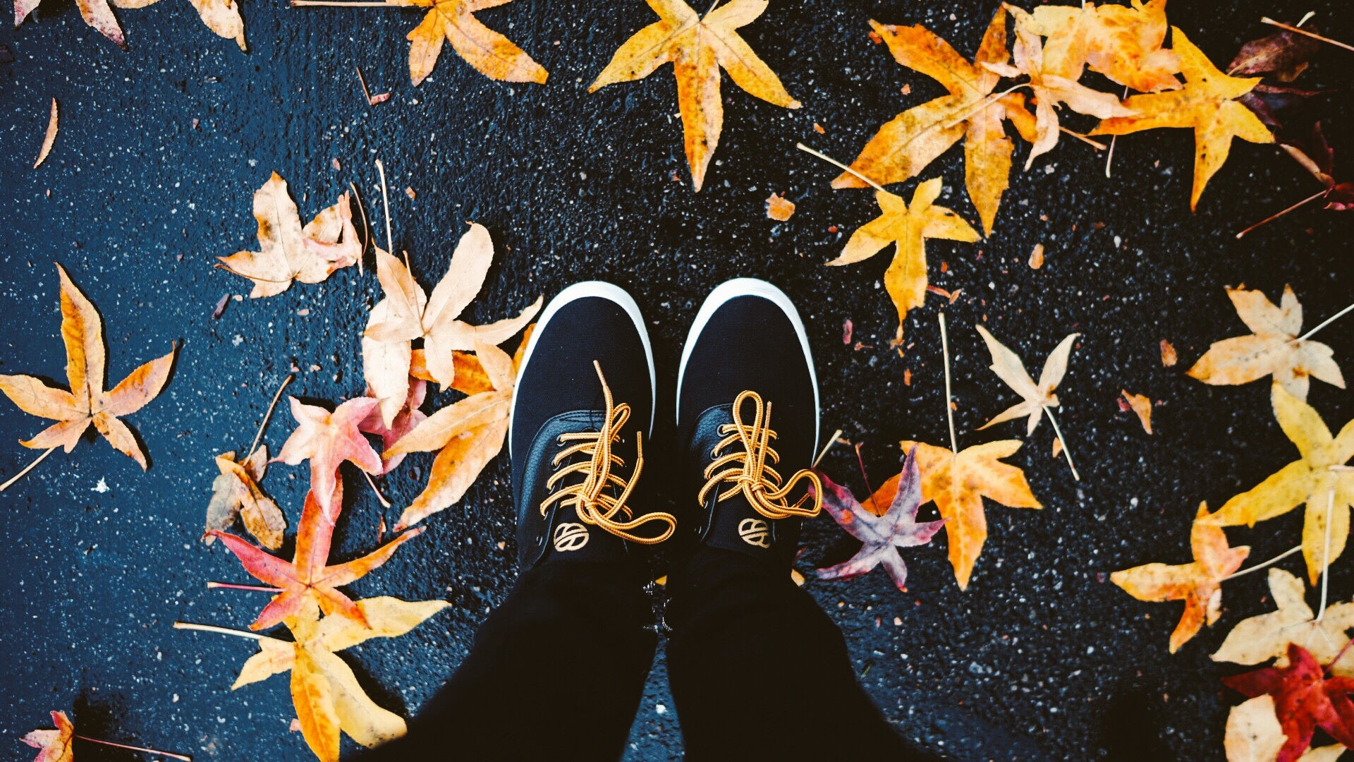 General 1920x1080 leaves maple leaves shoes feet fall yellow top view wet wet street asphalt fallen leaves outdoors
