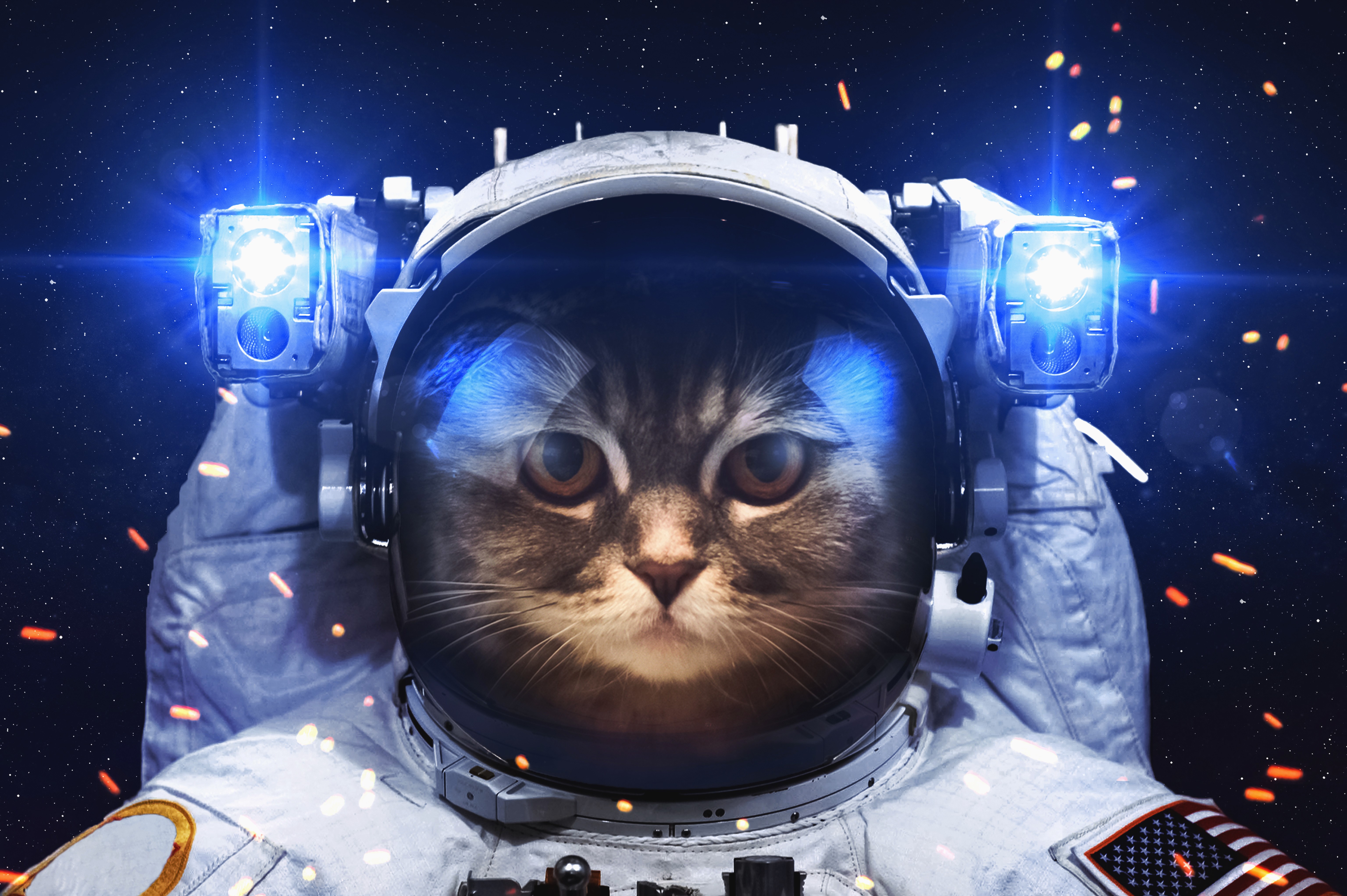 General 6144x4088 astronaut cats space digital art closeup space art