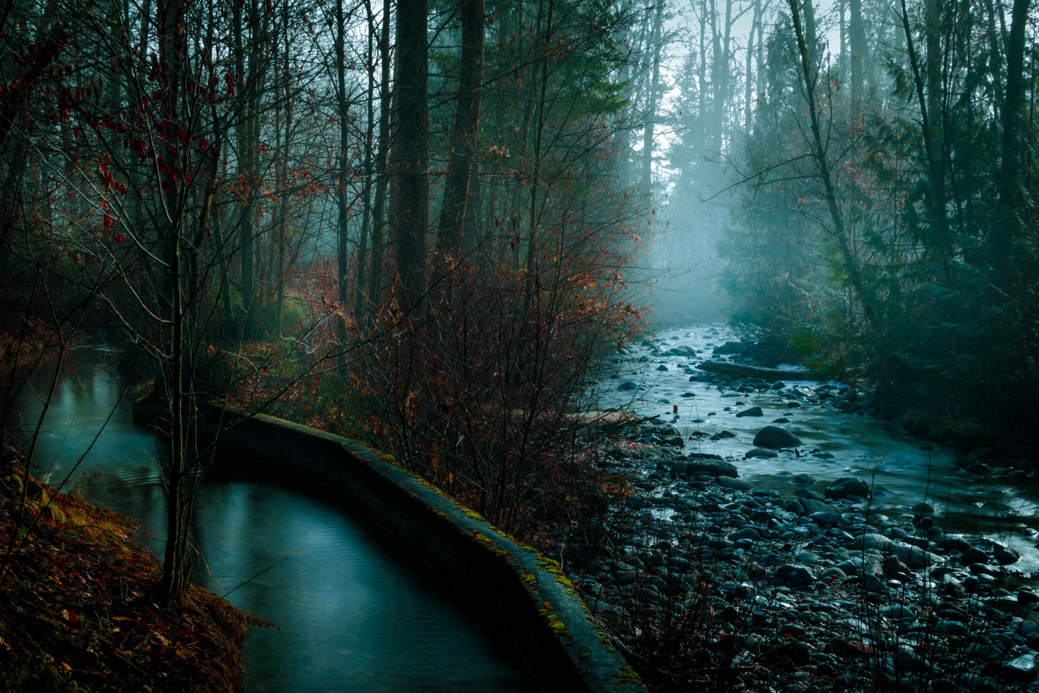 General 2048x1365 nature photography dark trees mist plants flowers fall rocks river water canal